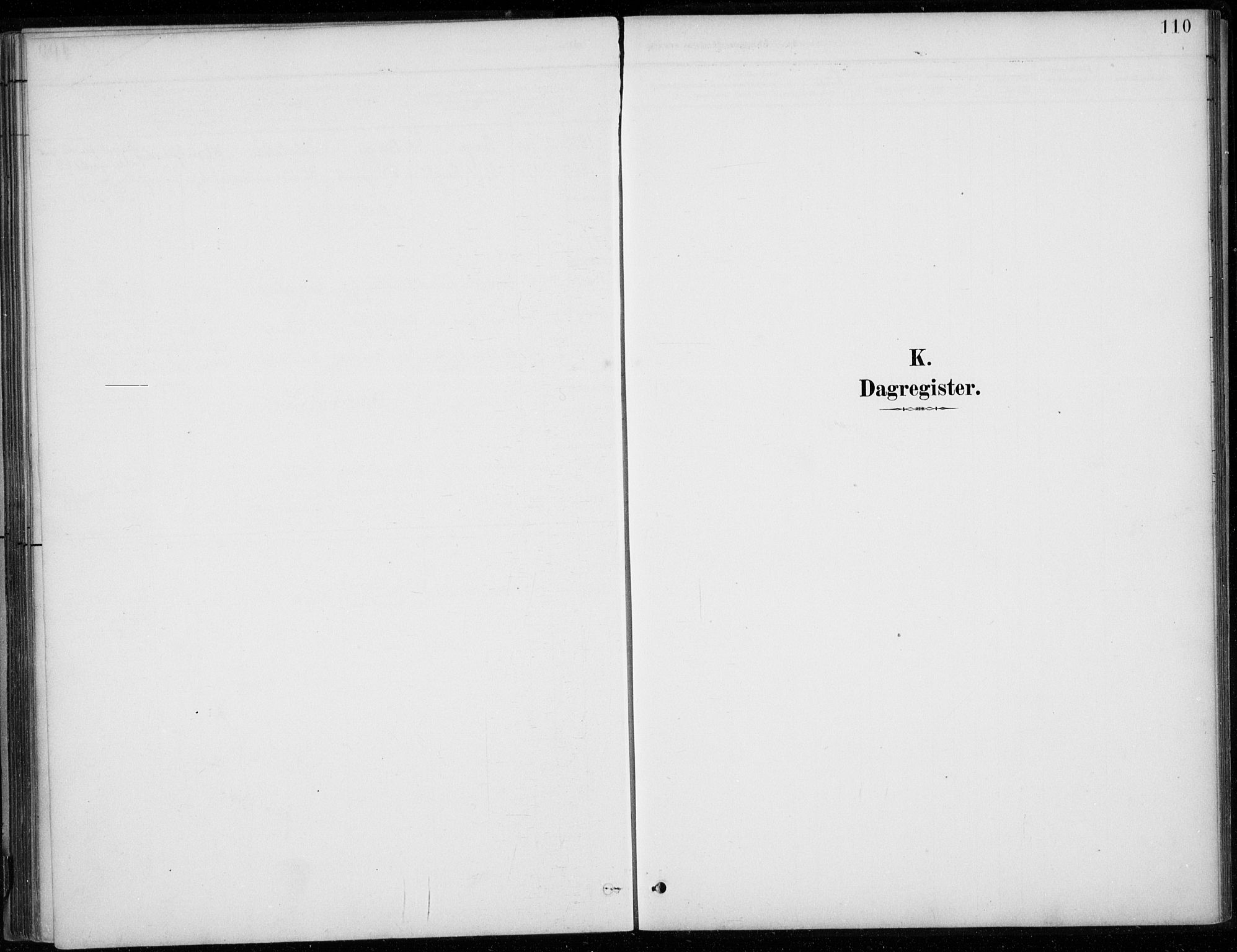 Den norske sjømannsmisjon i utlandet/Bristolhavnene(Cardiff-Swansea), SAB/SAB/PA-0102/H/Ha/Haa/L0002: Parish register (official) no. A 2, 1887-1932, p. 110