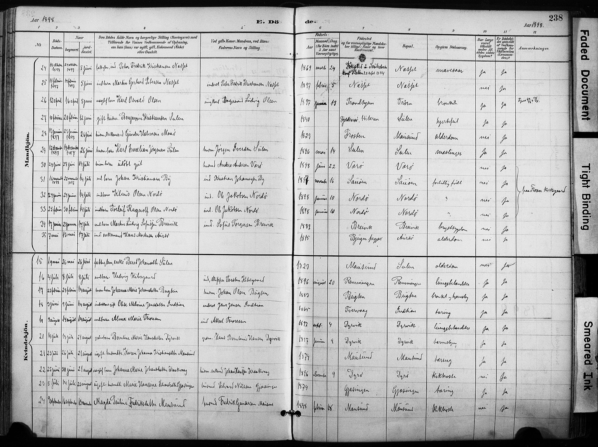 Ministerialprotokoller, klokkerbøker og fødselsregistre - Sør-Trøndelag, SAT/A-1456/640/L0579: Parish register (official) no. 640A04, 1889-1902, p. 238