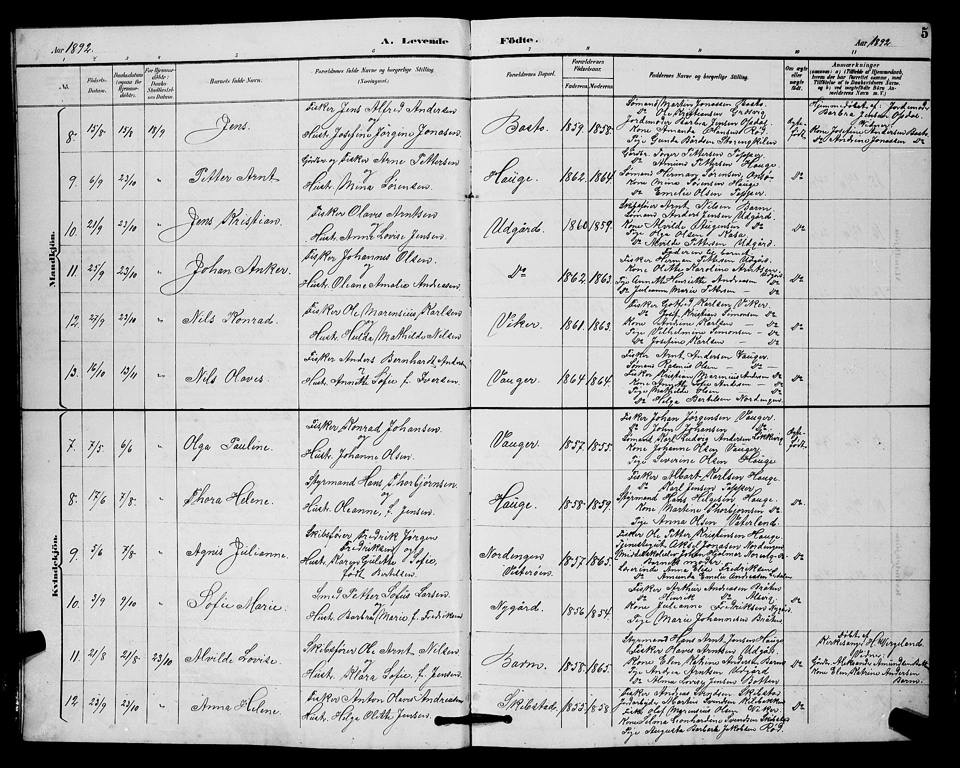 Hvaler prestekontor Kirkebøker, AV/SAO-A-2001/G/Gb/L0001: Parish register (copy) no. II 1, 1892-1904, p. 5