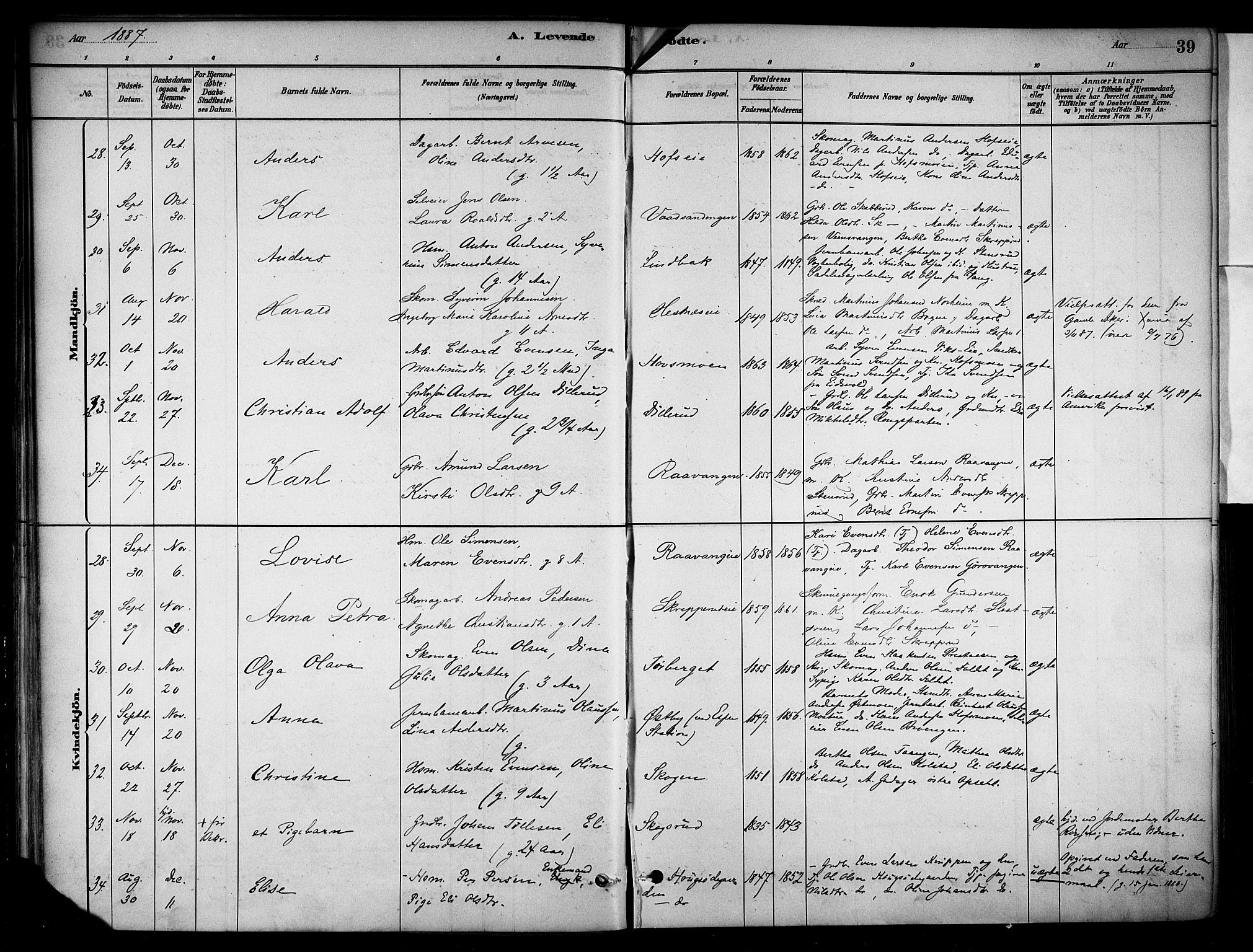 Stange prestekontor, AV/SAH-PREST-002/K/L0018: Parish register (official) no. 18, 1880-1896, p. 39