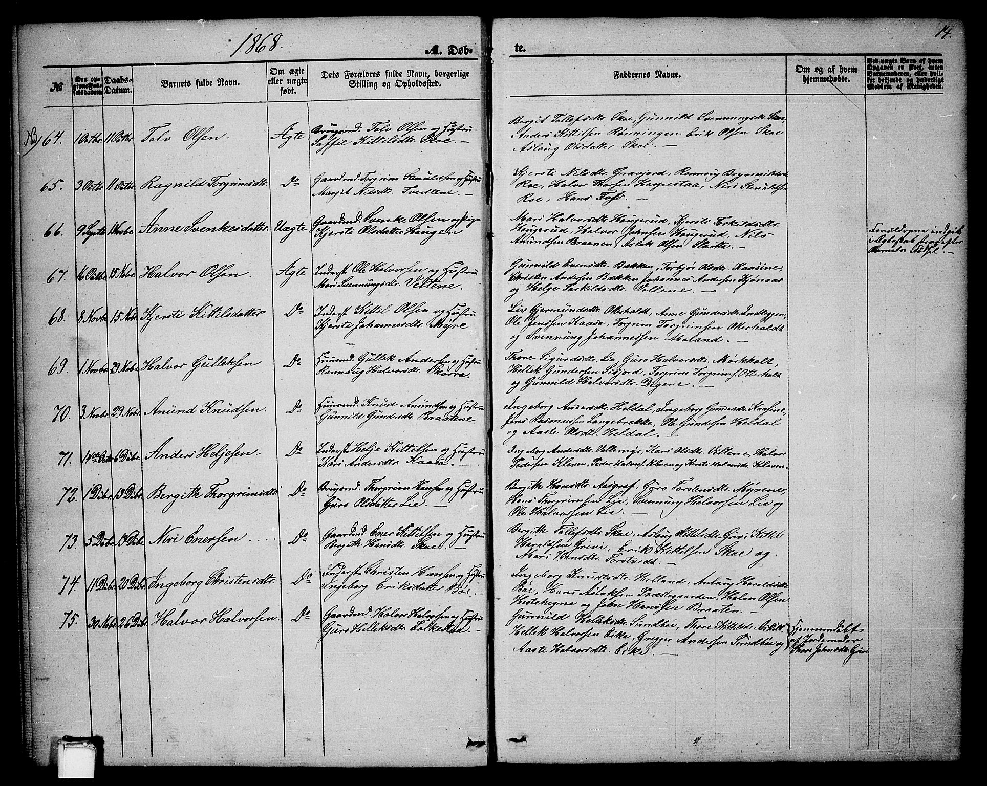 Bø kirkebøker, AV/SAKO-A-257/G/Ga/L0003: Parish register (copy) no. 3, 1866-1875, p. 14