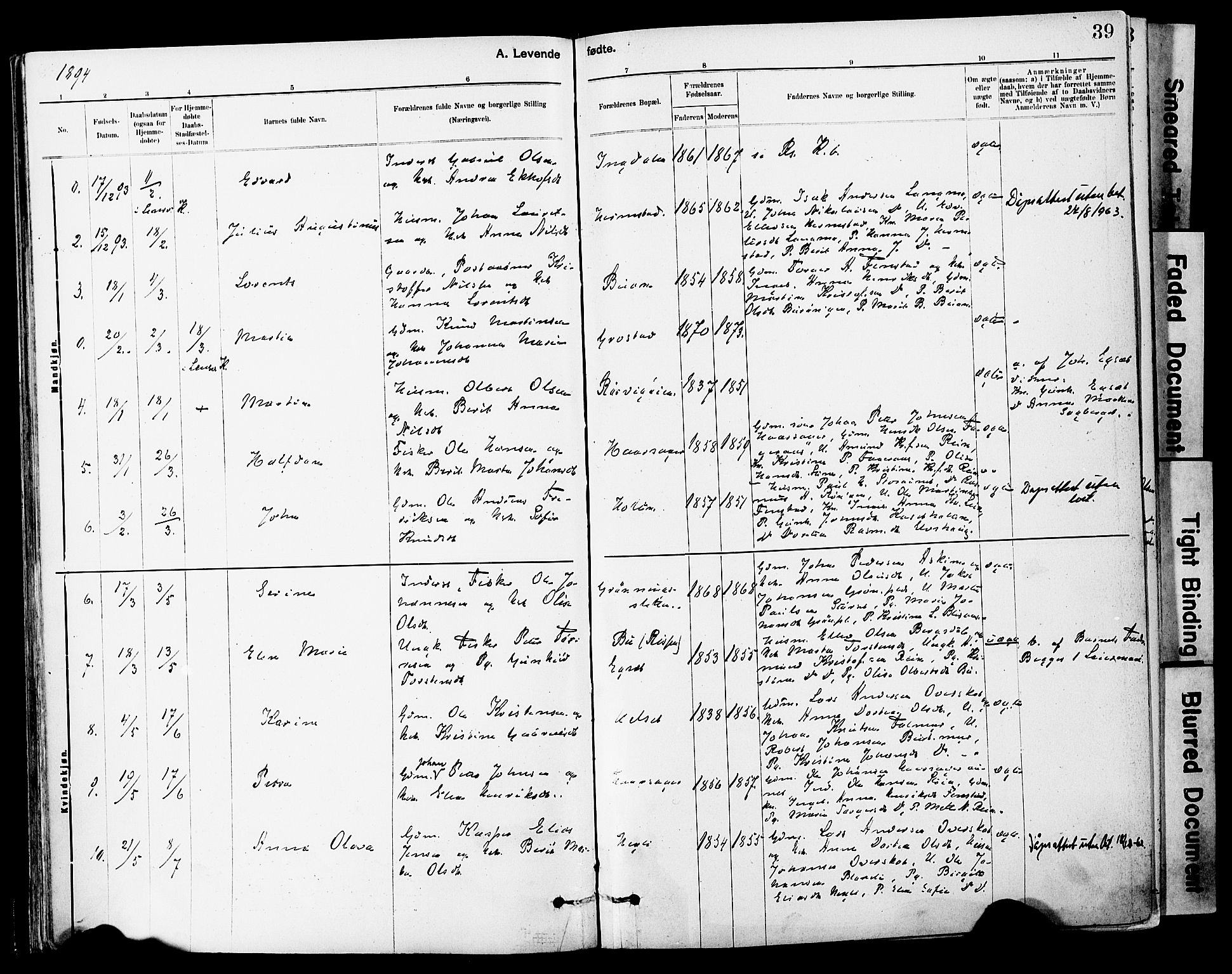 Ministerialprotokoller, klokkerbøker og fødselsregistre - Sør-Trøndelag, SAT/A-1456/646/L0615: Parish register (official) no. 646A13, 1885-1900, p. 39