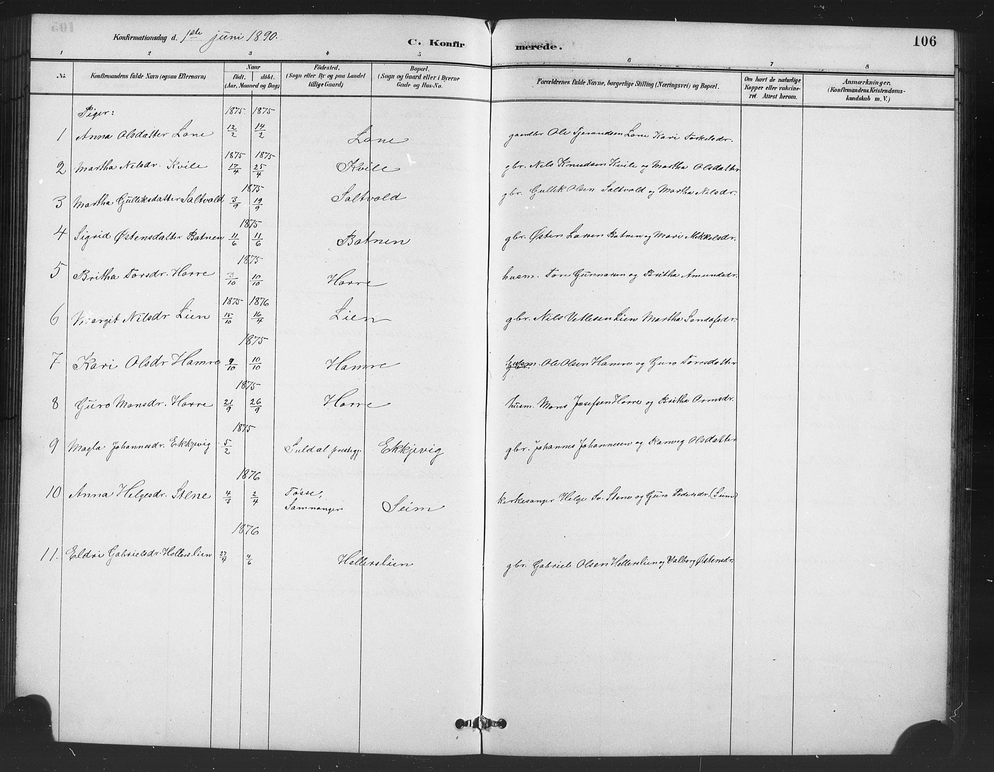 Røldal sokneprestembete, SAB/A-100247: Parish register (copy) no. A 3, 1887-1917, p. 106