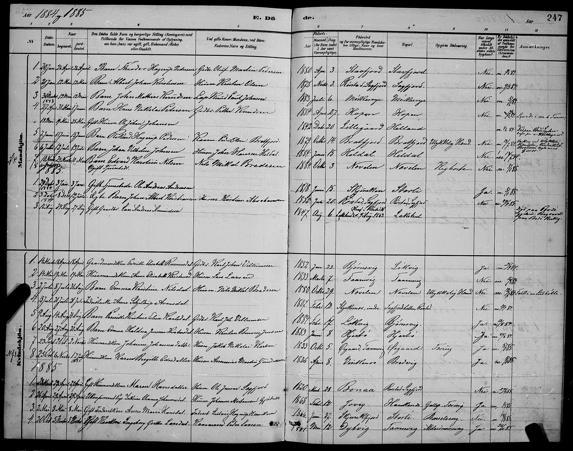 Ministerialprotokoller, klokkerbøker og fødselsregistre - Nordland, AV/SAT-A-1459/853/L0772: Parish register (official) no. 853A11, 1881-1900, p. 247