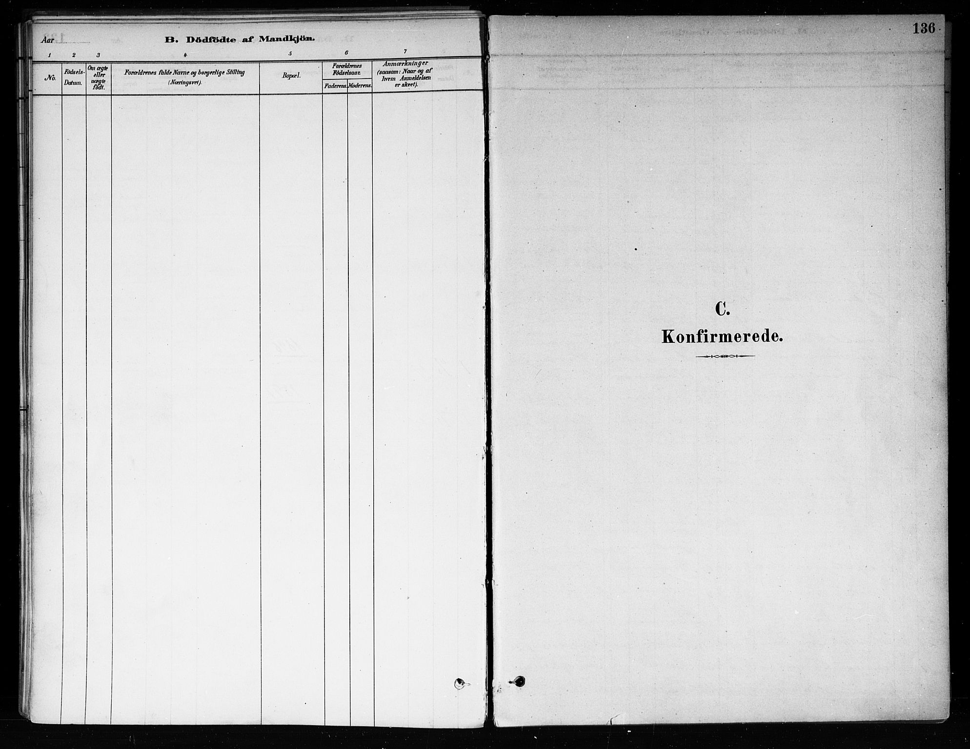 Røyken kirkebøker, SAKO/A-241/F/Fa/L0008: Parish register (official) no. 8, 1880-1897, p. 136