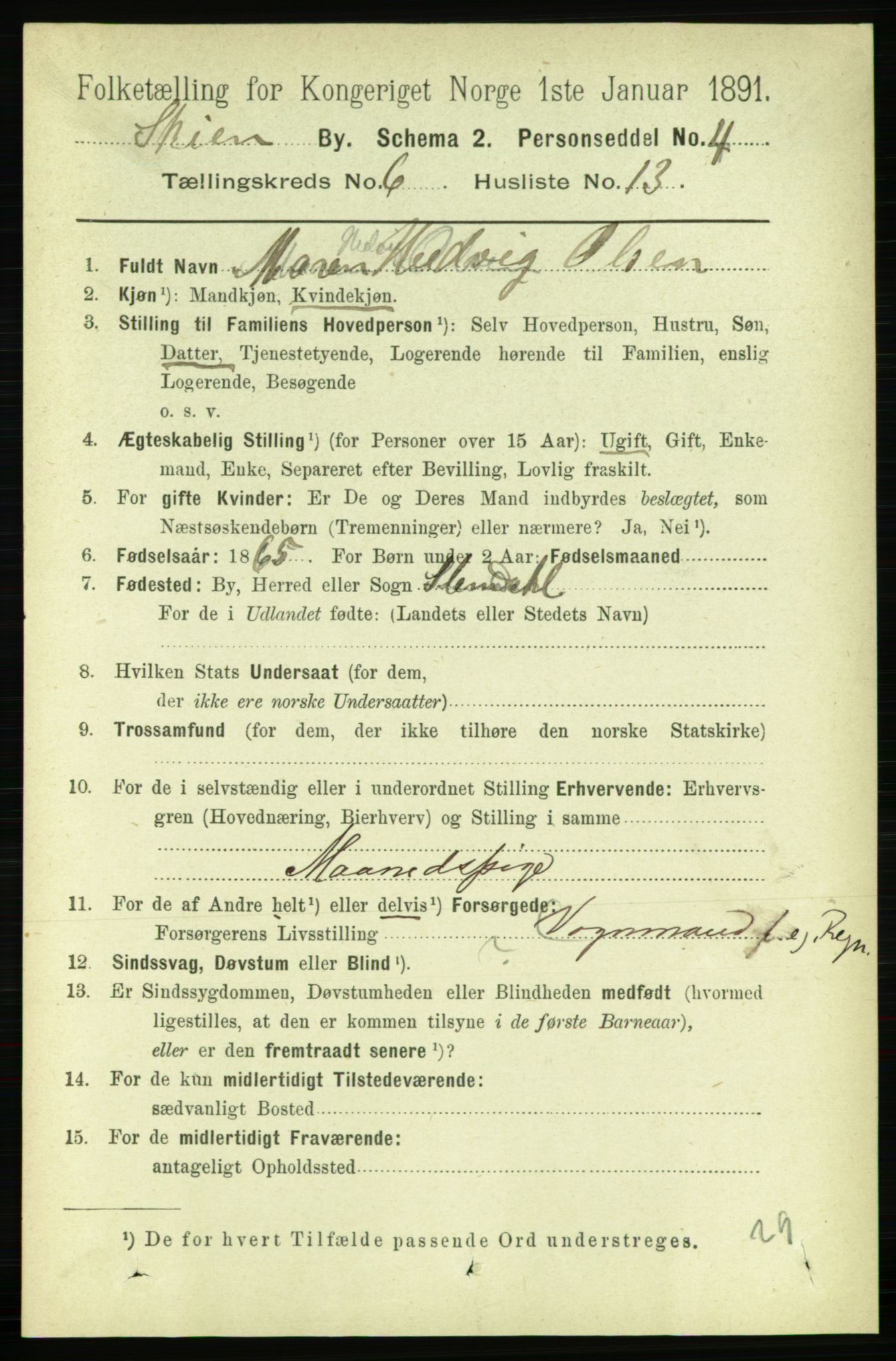 RA, 1891 census for 0806 Skien, 1891, p. 3126