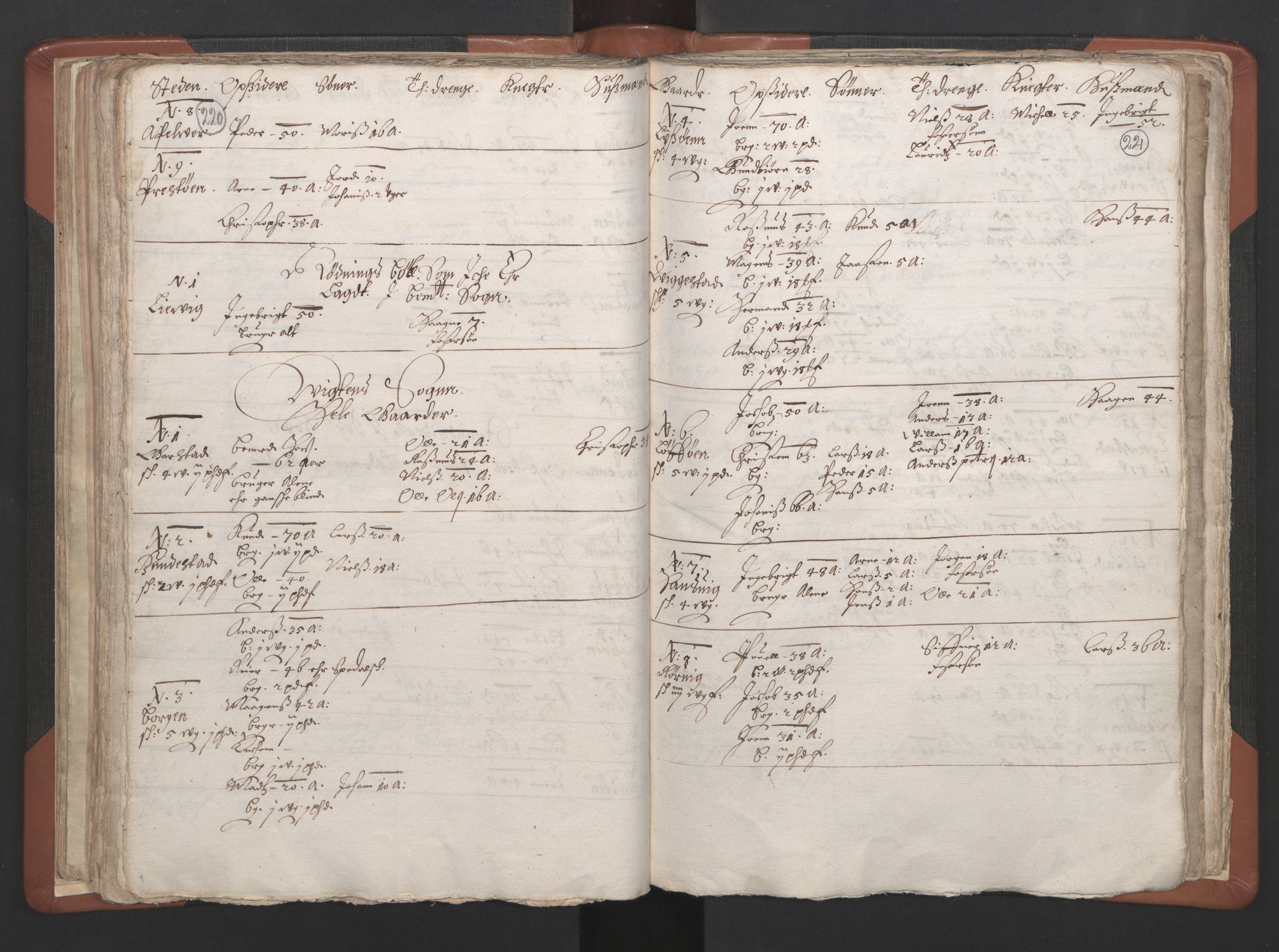 RA, Vicar's Census 1664-1666, no. 34: Namdal deanery, 1664-1666, p. 220-221