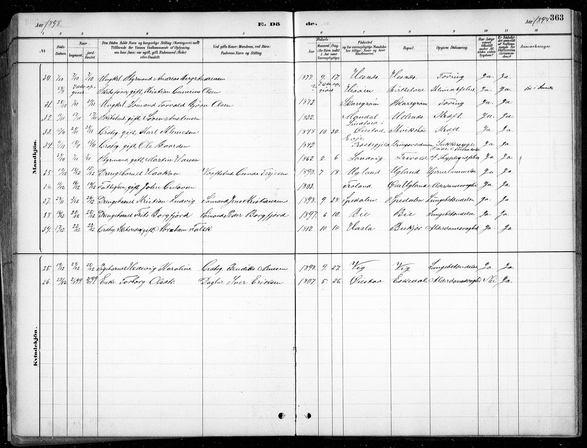 Fjære sokneprestkontor, AV/SAK-1111-0011/F/Fb/L0011: Parish register (copy) no. B 11, 1881-1905, p. 363