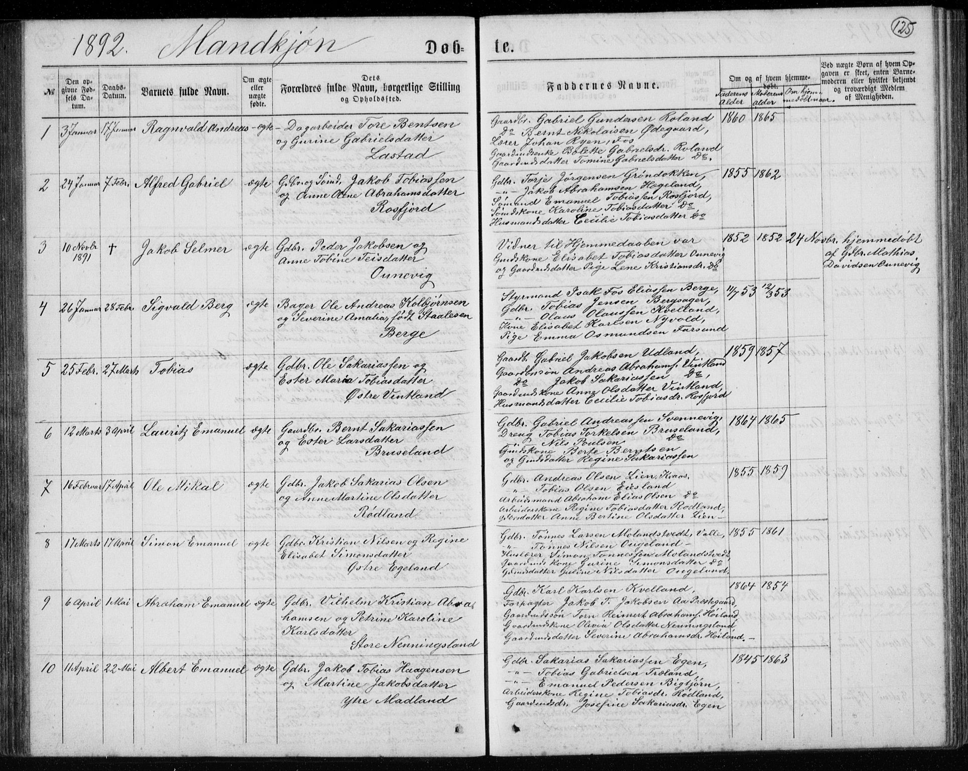 Lyngdal sokneprestkontor, AV/SAK-1111-0029/F/Fb/Fbc/L0004: Parish register (copy) no. B 4, 1878-1896, p. 125