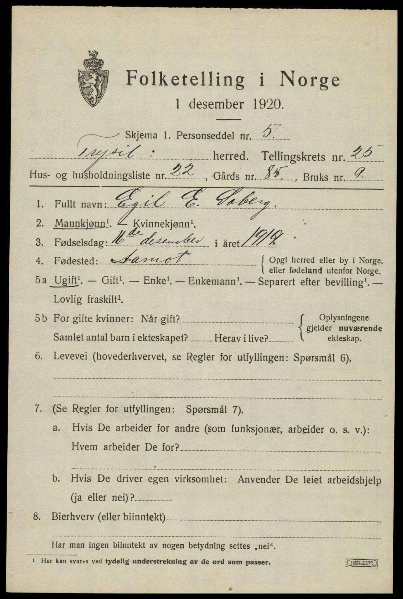 SAH, 1920 census for Trysil, 1920, p. 15959