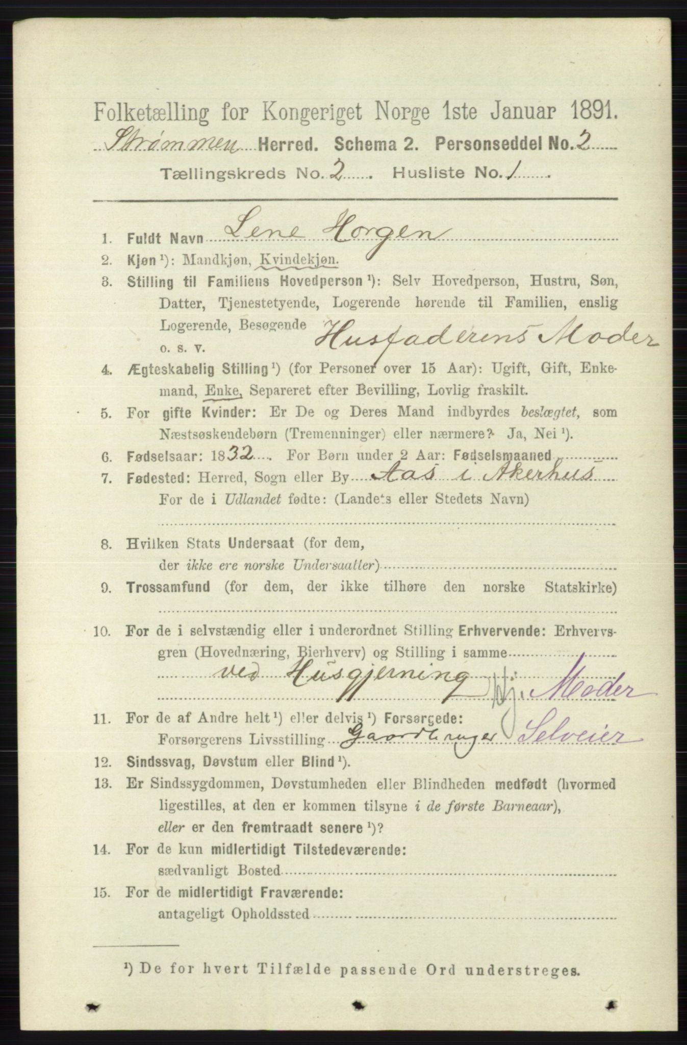 RA, 1891 census for 0711 Strømm, 1891, p. 697