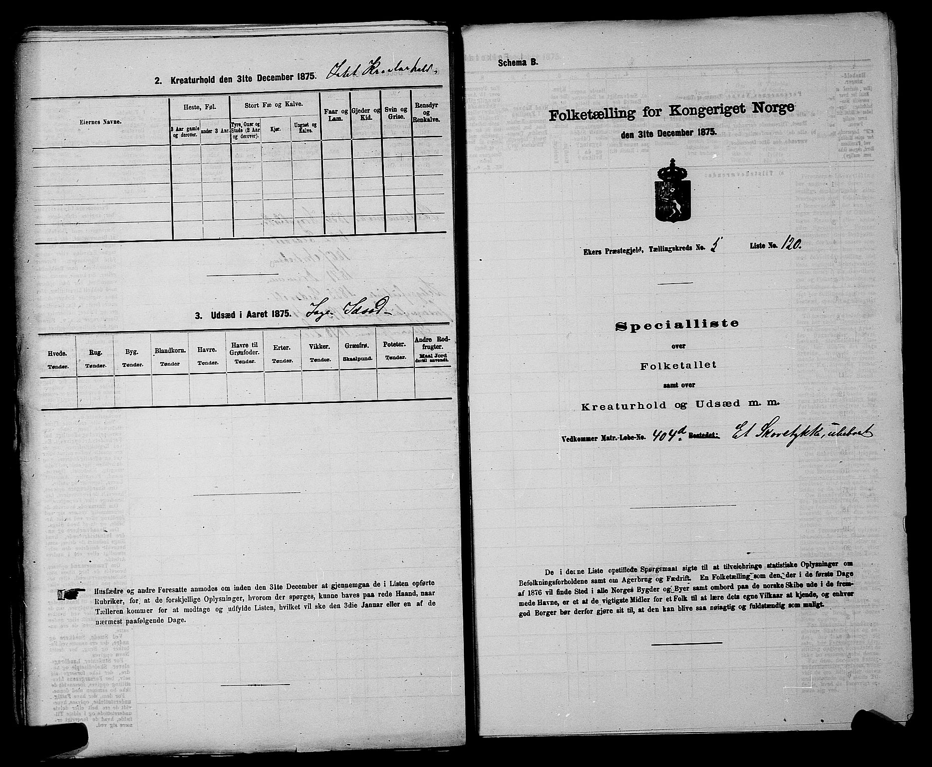 SAKO, 1875 census for 0624P Eiker, 1875, p. 1081