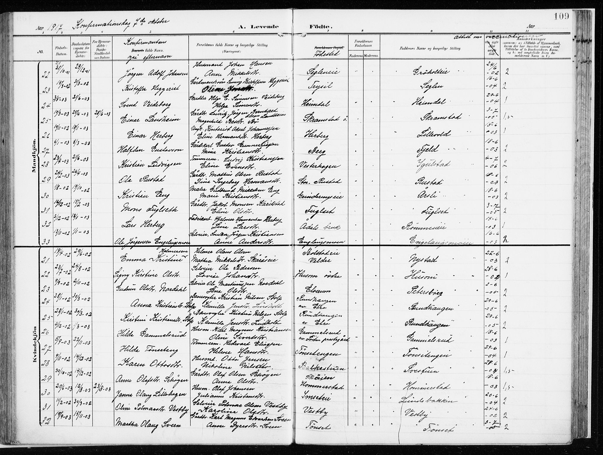 Løten prestekontor, AV/SAH-PREST-022/K/Ka/L0011: Parish register (official) no. 11, 1908-1917, p. 109