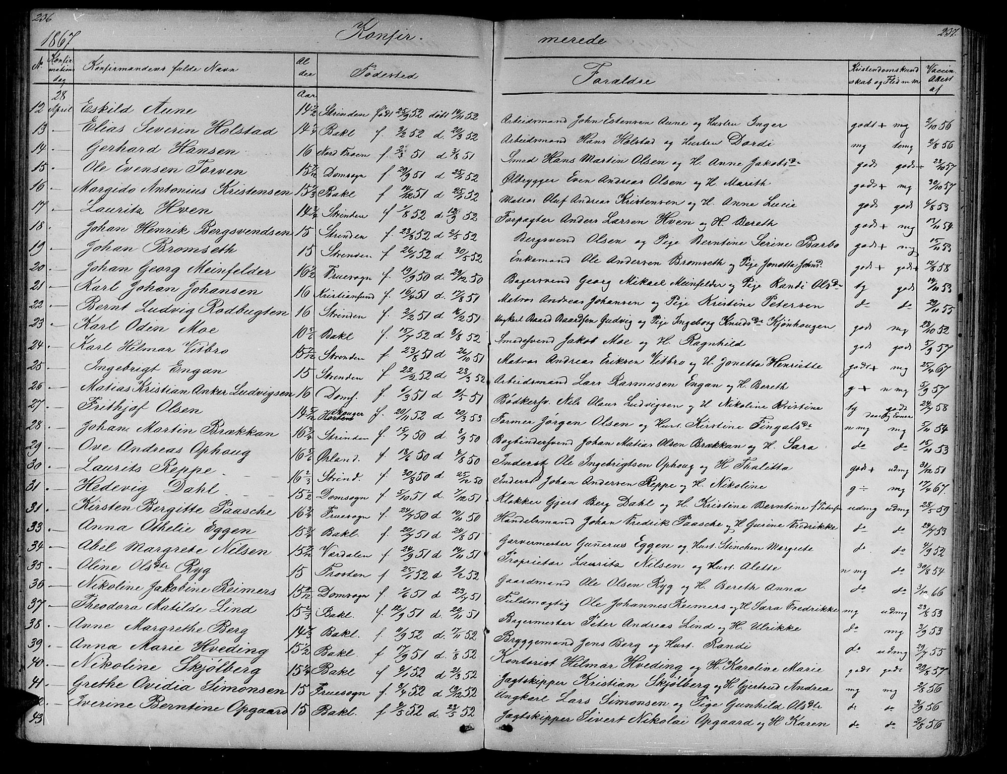 Ministerialprotokoller, klokkerbøker og fødselsregistre - Sør-Trøndelag, SAT/A-1456/604/L0219: Parish register (copy) no. 604C02, 1851-1869, p. 236-237