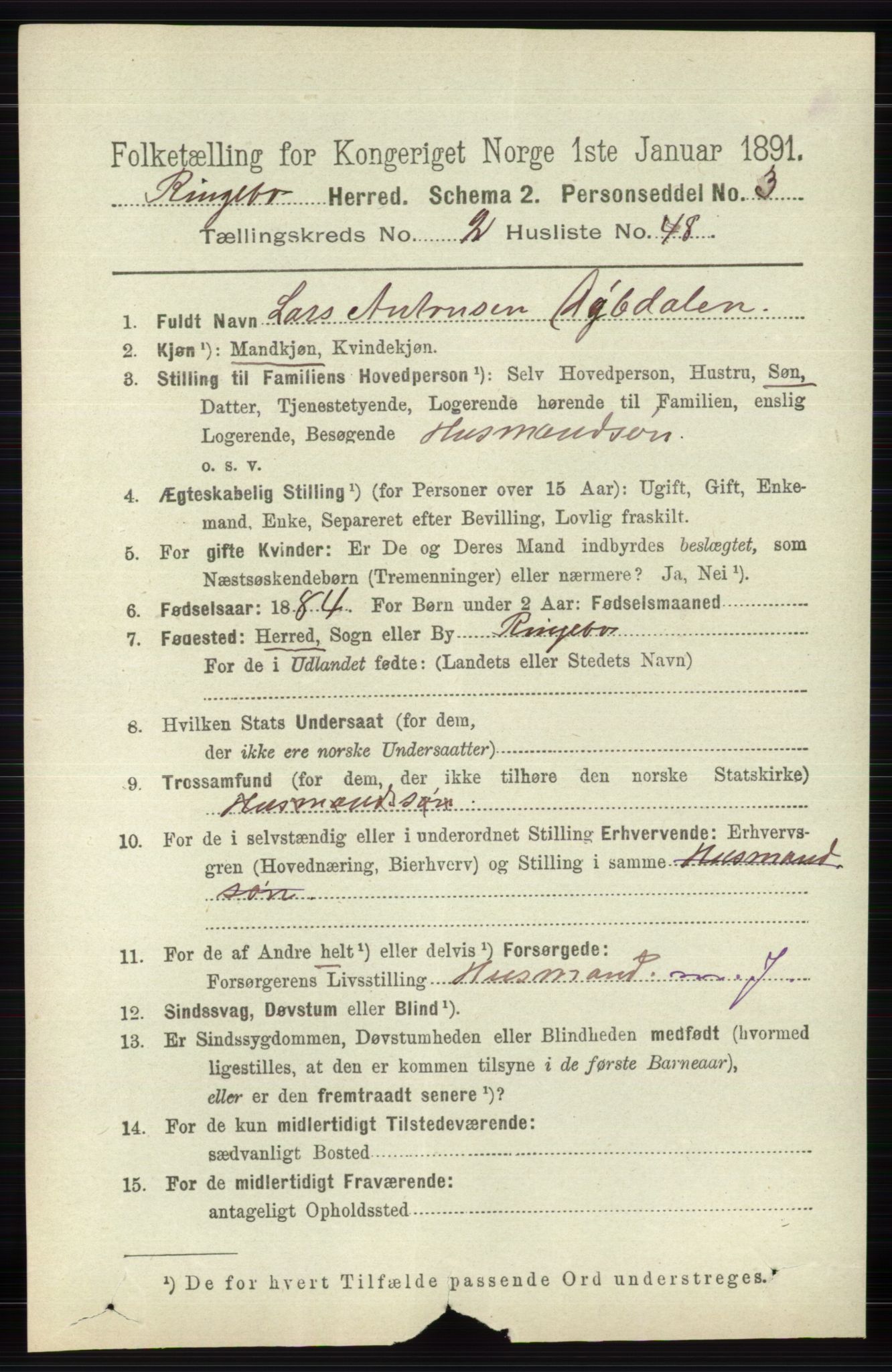 RA, 1891 census for 0520 Ringebu, 1891, p. 615