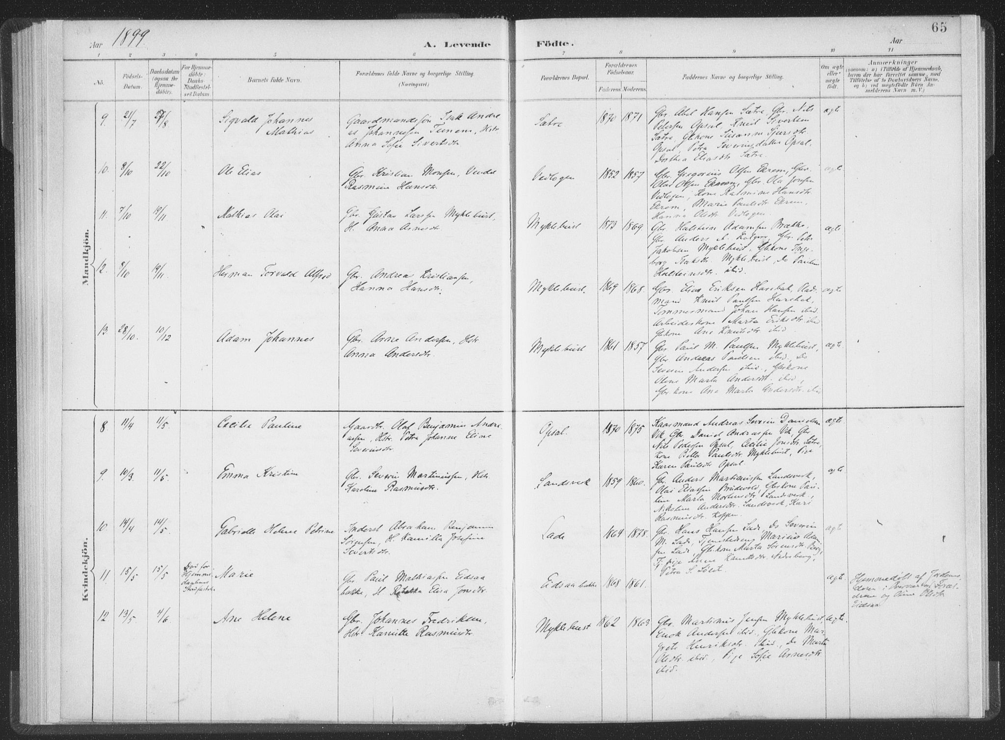 Ministerialprotokoller, klokkerbøker og fødselsregistre - Møre og Romsdal, AV/SAT-A-1454/502/L0025: Parish register (official) no. 502A03, 1885-1909, p. 65