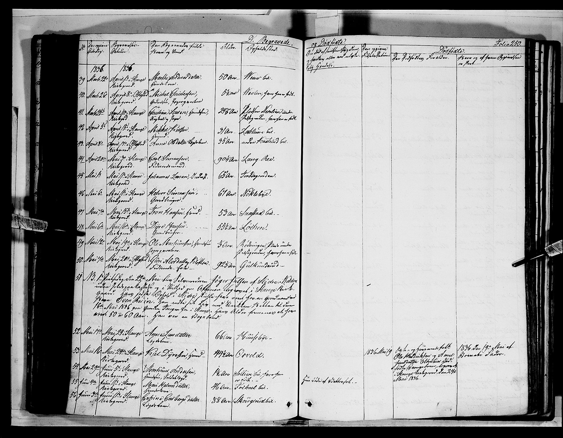 Stange prestekontor, AV/SAH-PREST-002/K/L0010: Parish register (official) no. 10, 1835-1845, p. 250