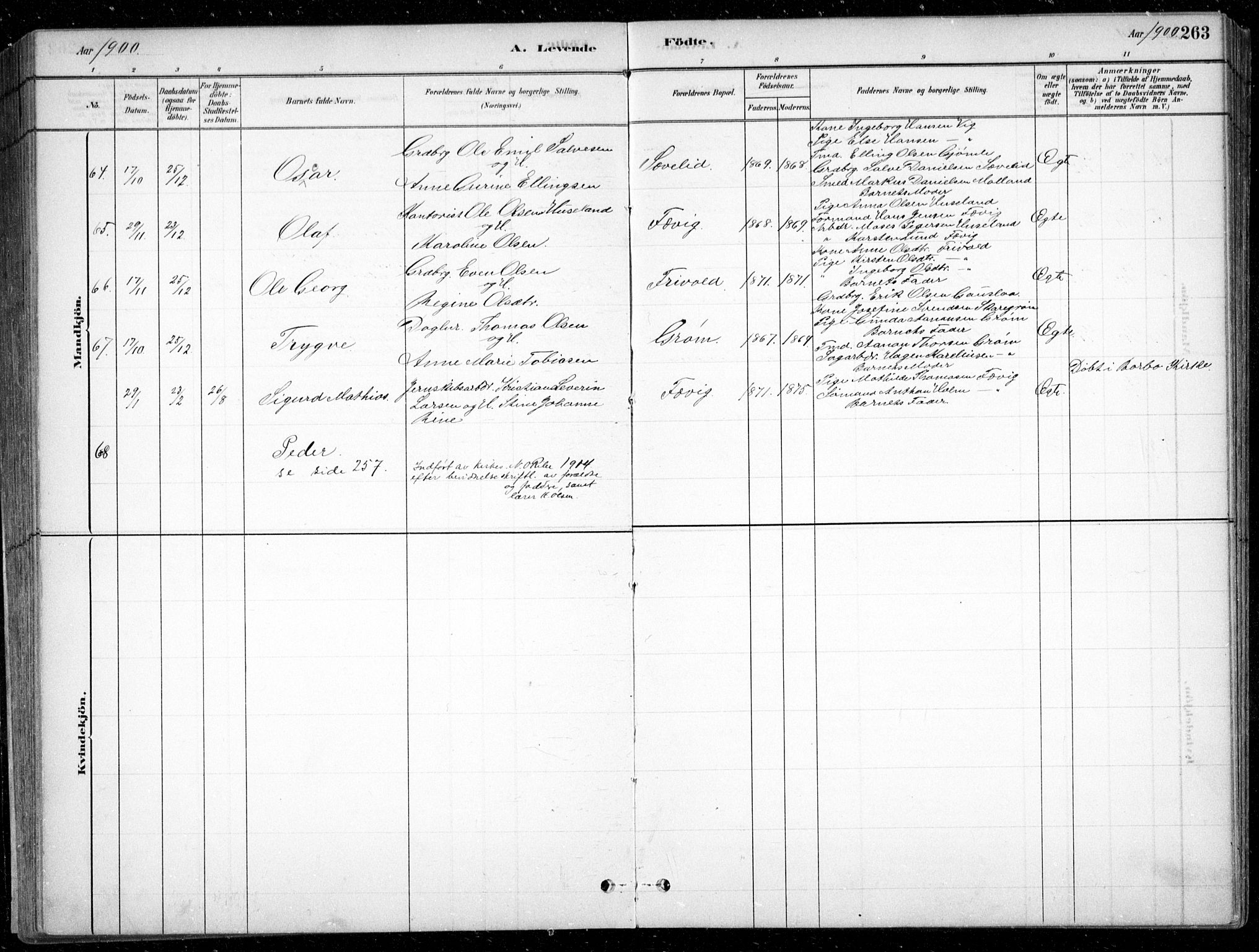 Fjære sokneprestkontor, SAK/1111-0011/F/Fb/L0011: Parish register (copy) no. B 11, 1881-1905, p. 263