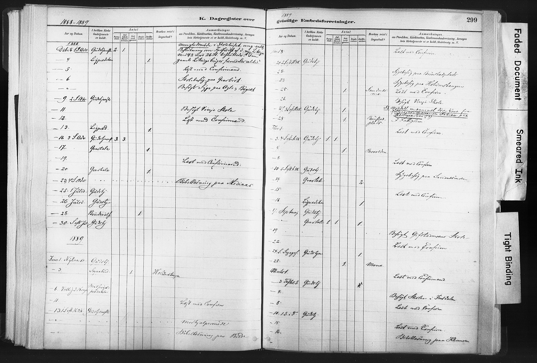 Ministerialprotokoller, klokkerbøker og fødselsregistre - Nord-Trøndelag, SAT/A-1458/749/L0474: Parish register (official) no. 749A08, 1887-1903, p. 299