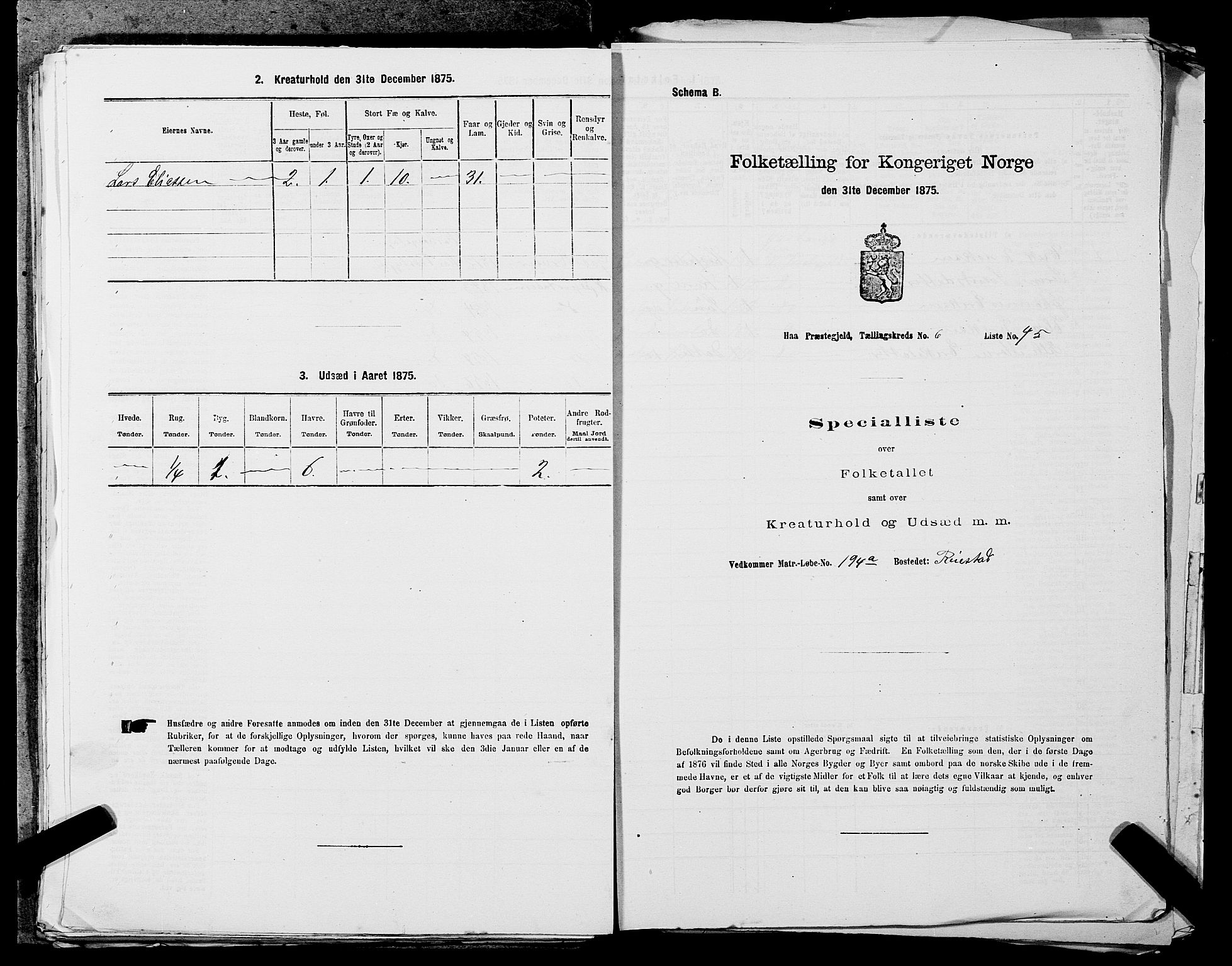 SAST, 1875 census for 1119P Hå, 1875, p. 715