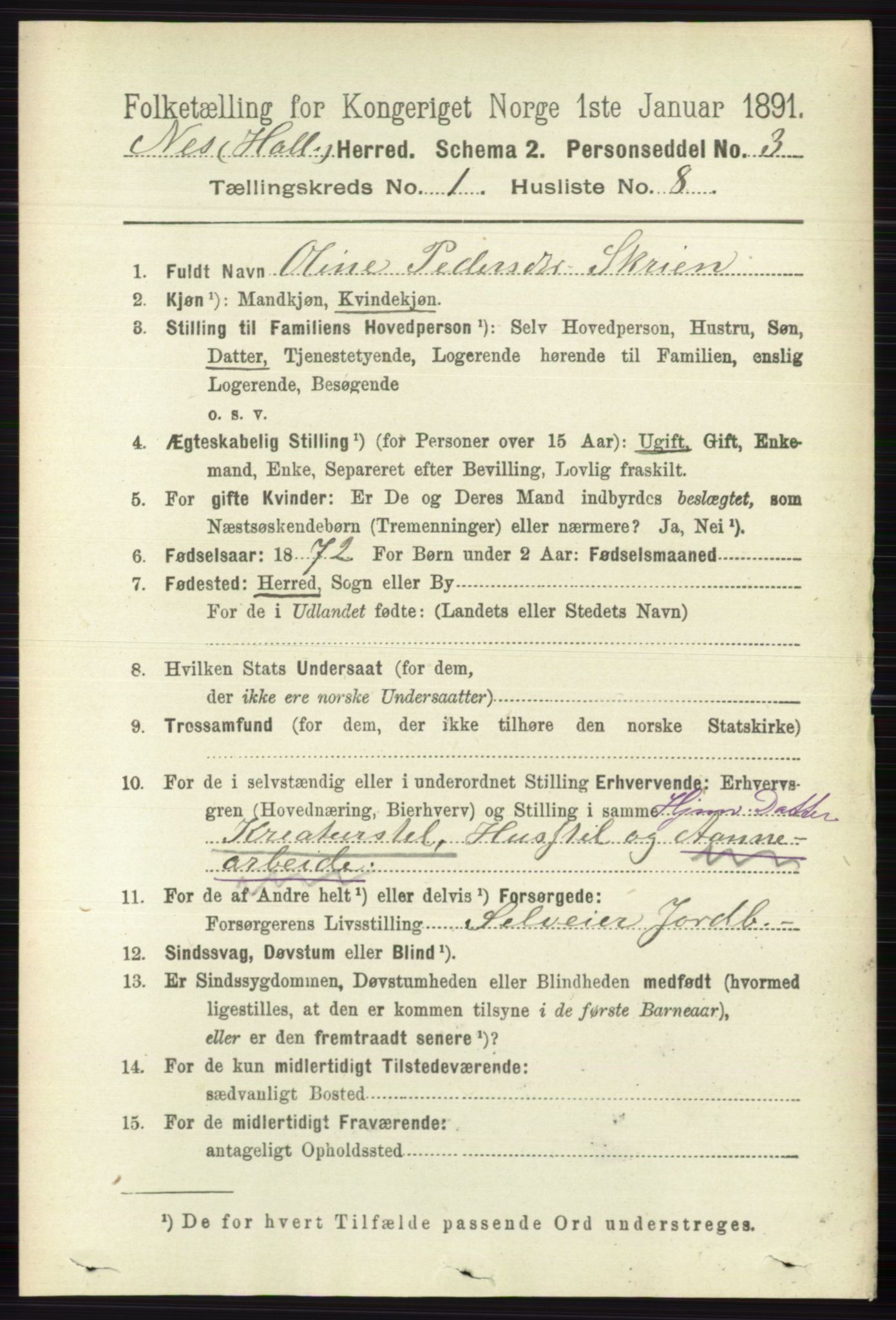 RA, 1891 census for 0616 Nes, 1891, p. 217