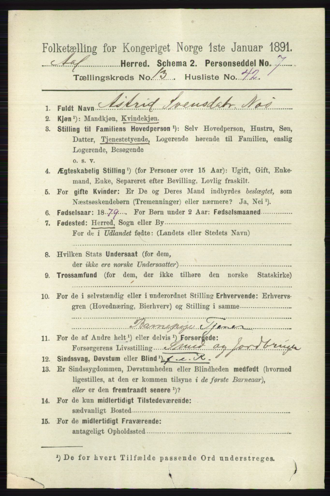 RA, 1891 census for 0619 Ål, 1891, p. 3500