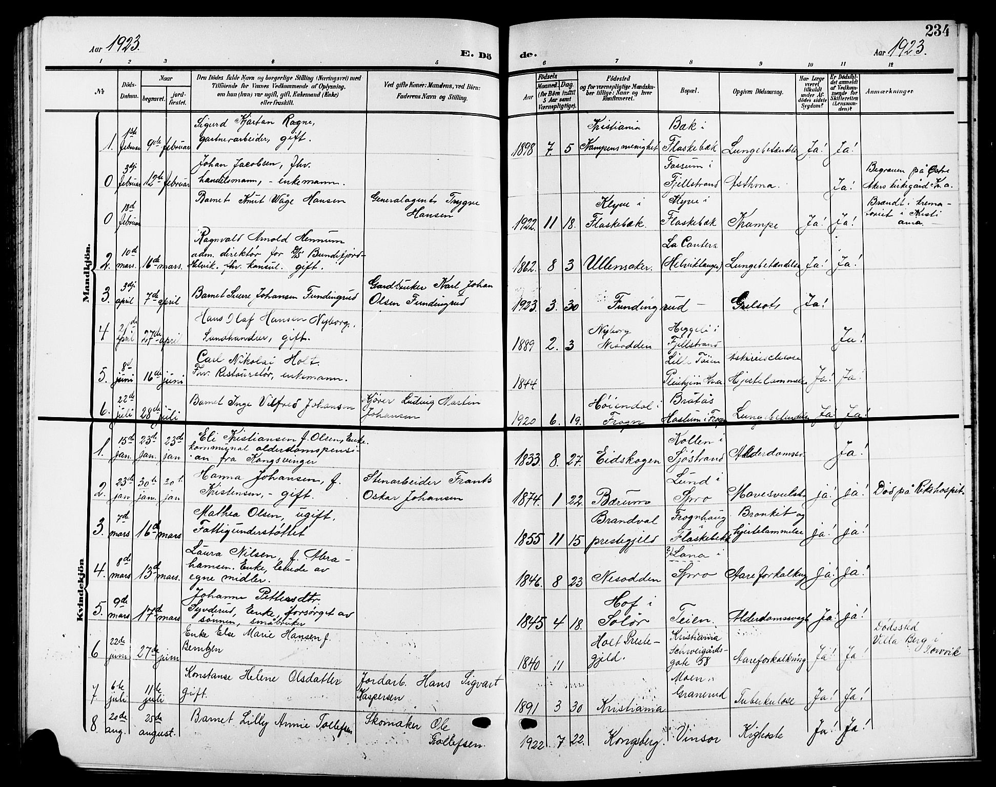 Nesodden prestekontor Kirkebøker, SAO/A-10013/G/Ga/L0002: Parish register (copy) no. I 2, 1905-1924, p. 234