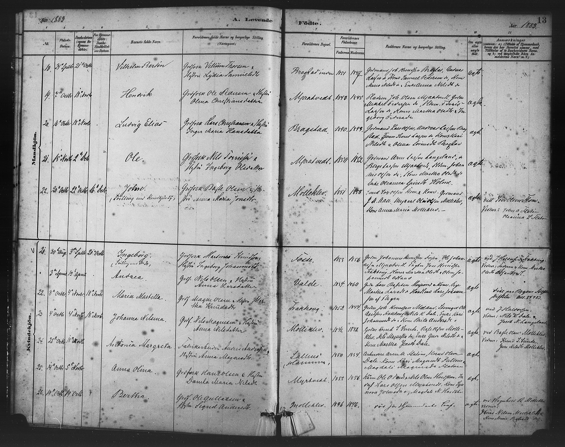 Alversund Sokneprestembete, AV/SAB-A-73901/H/Ha/Haa/Haac/L0001: Parish register (official) no. C 1, 1882-1900, p. 13