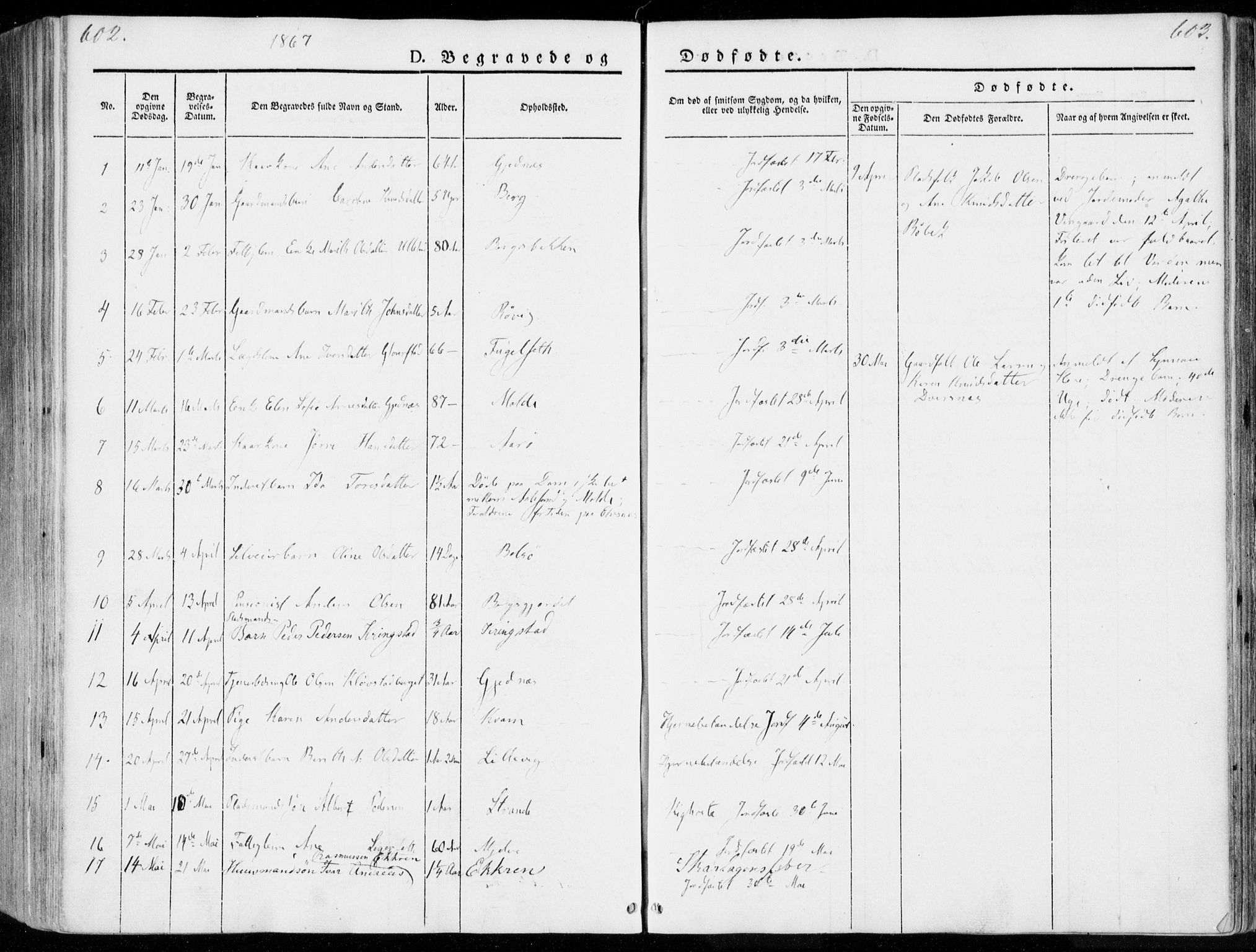Ministerialprotokoller, klokkerbøker og fødselsregistre - Møre og Romsdal, SAT/A-1454/555/L0653: Parish register (official) no. 555A04, 1843-1869, p. 602-603