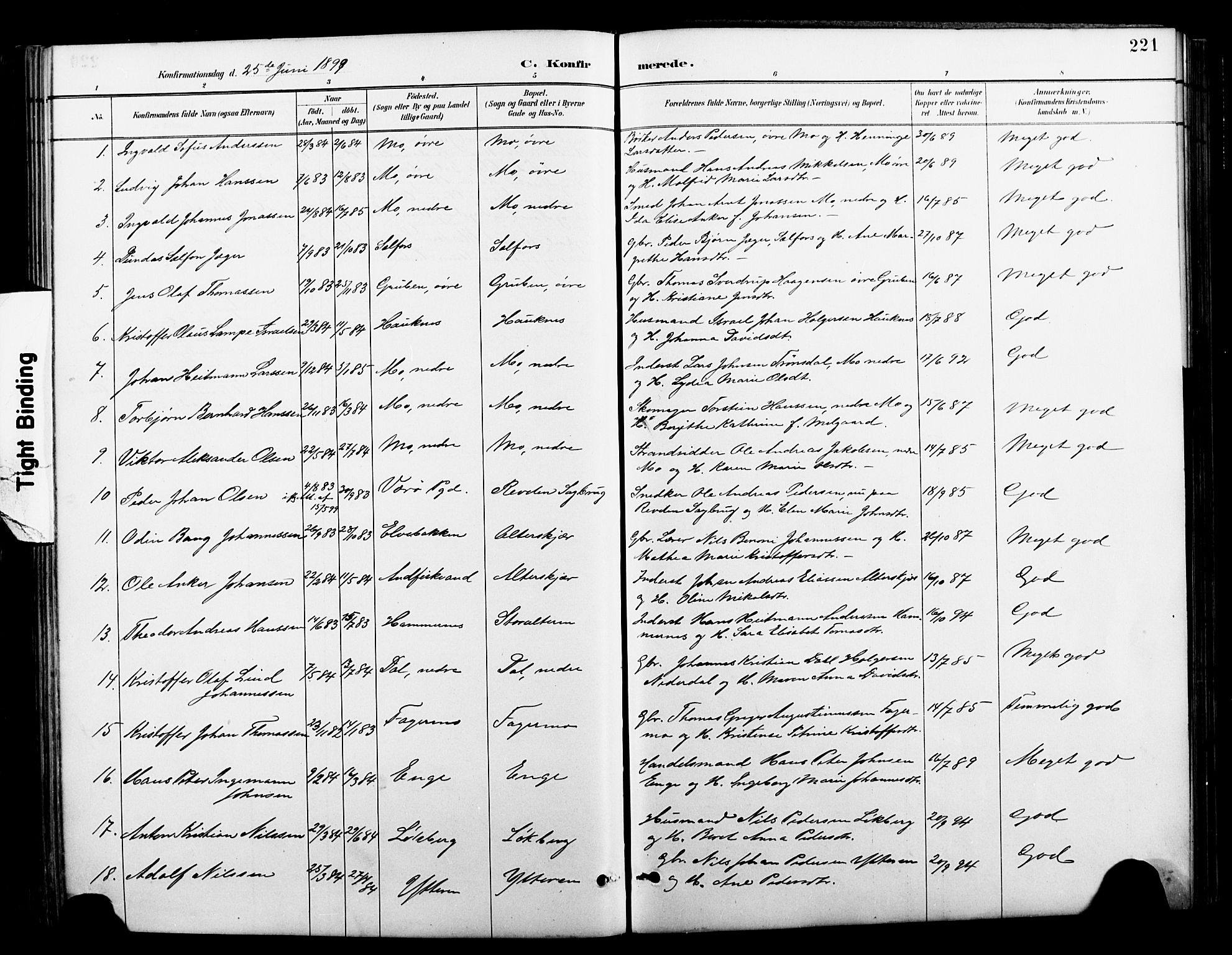 Ministerialprotokoller, klokkerbøker og fødselsregistre - Nordland, AV/SAT-A-1459/827/L0421: Parish register (copy) no. 827C10, 1887-1906, p. 221