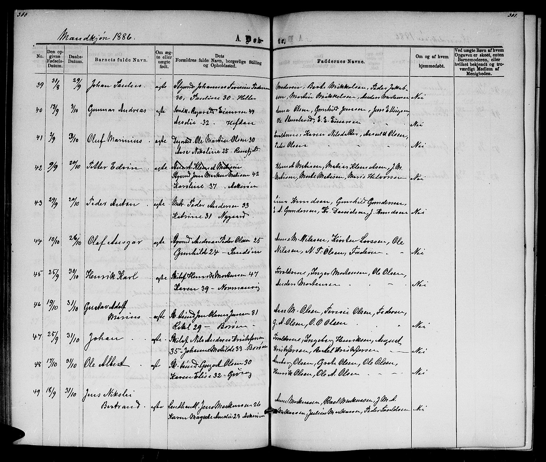 Dypvåg sokneprestkontor, AV/SAK-1111-0007/F/Fb/Fba/L0012: Parish register (copy) no. B 12, 1872-1886, p. 300-301