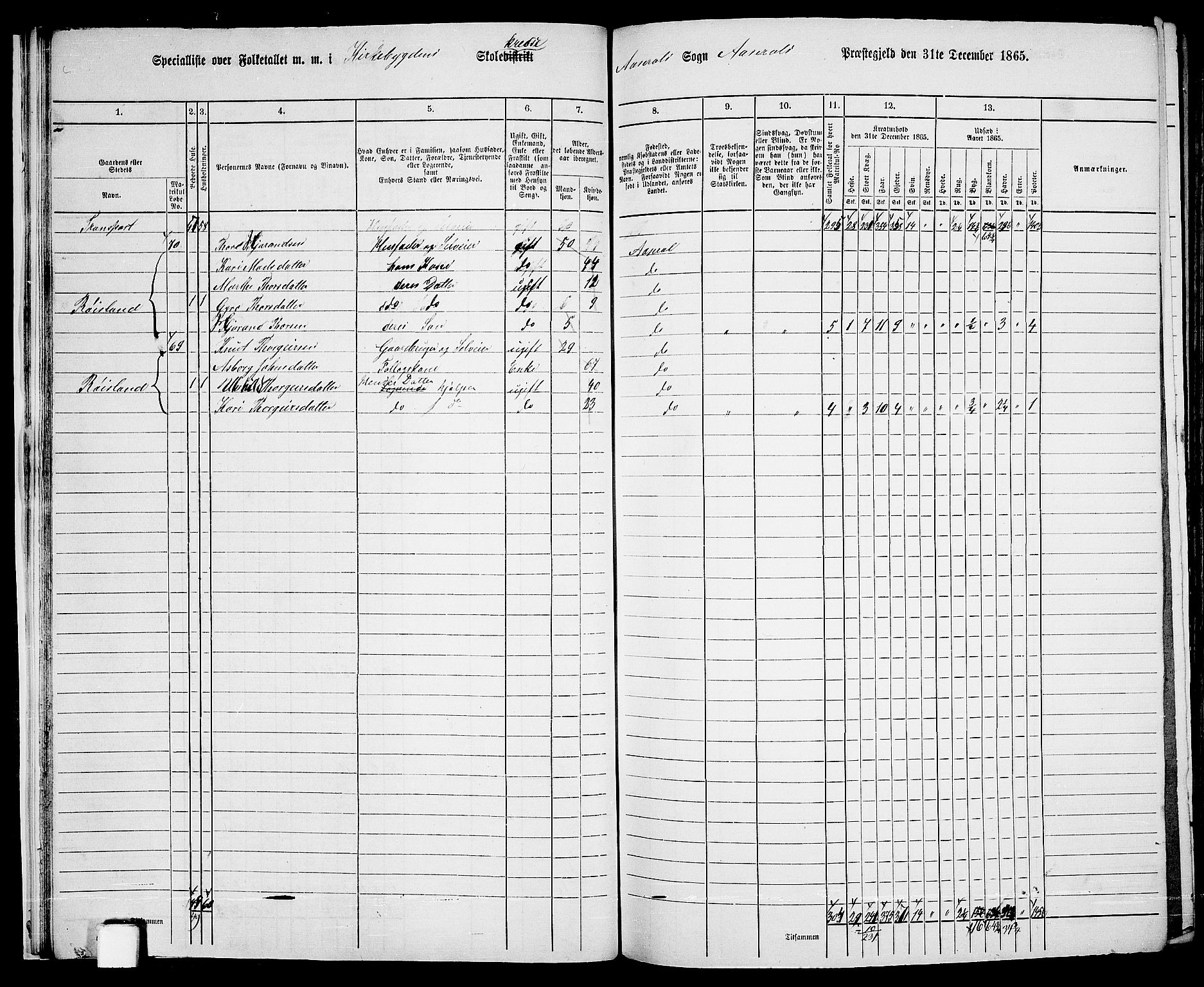 RA, 1865 census for Åseral, 1865, p. 20