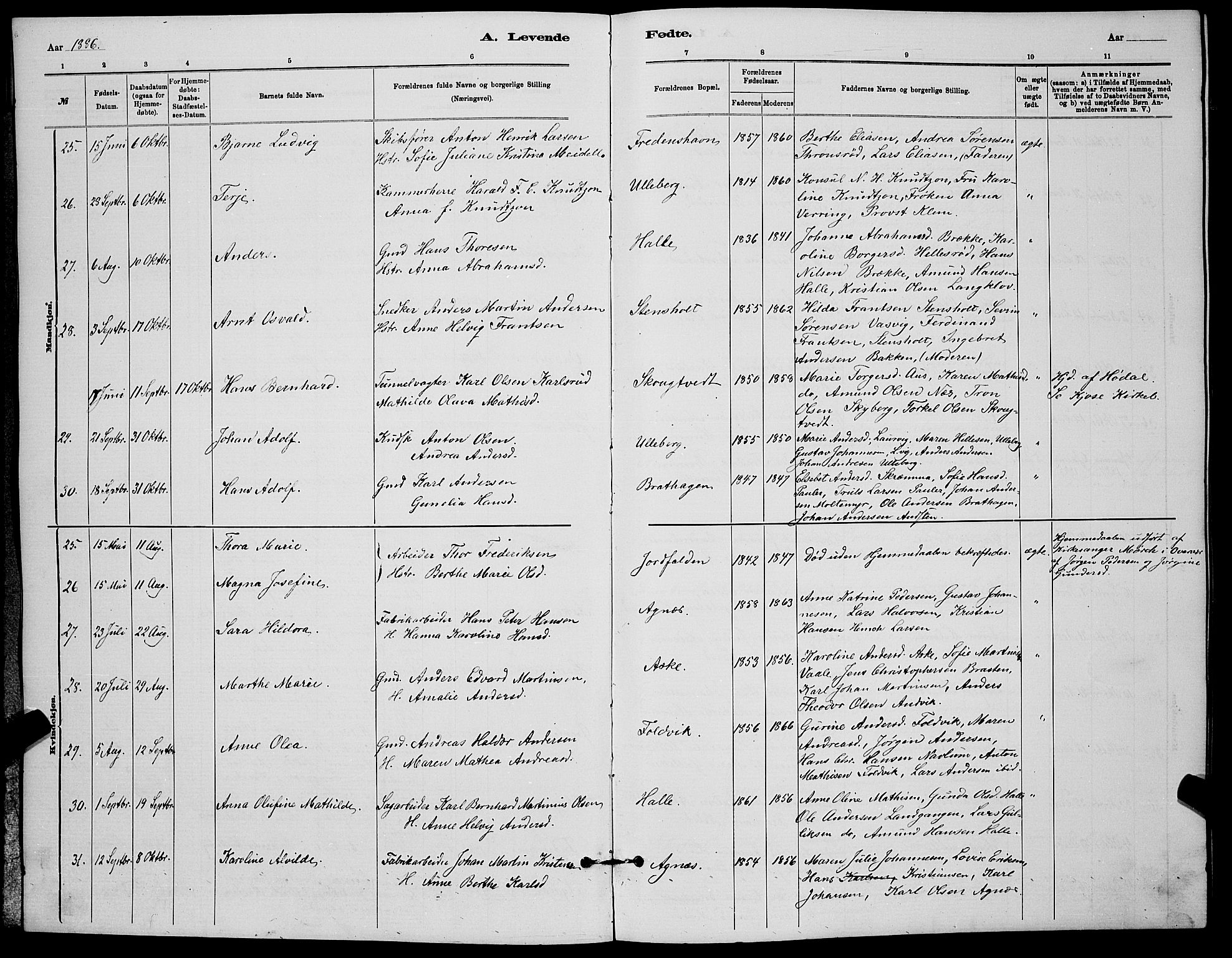 Brunlanes kirkebøker, AV/SAKO-A-342/G/Ga/L0003: Parish register (copy) no. I 3, 1877-1898