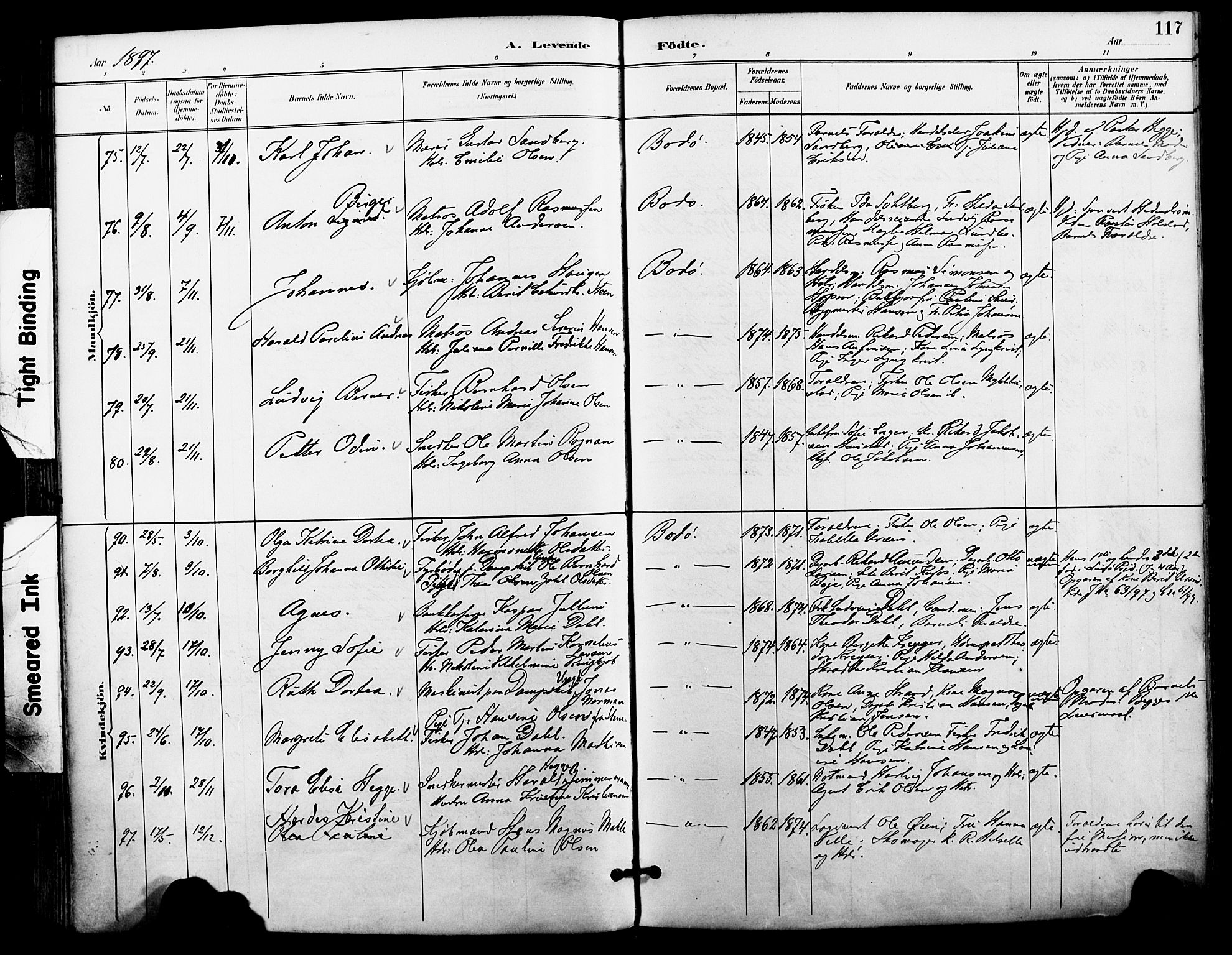 Ministerialprotokoller, klokkerbøker og fødselsregistre - Nordland, AV/SAT-A-1459/801/L0010: Parish register (official) no. 801A10, 1888-1899, p. 117