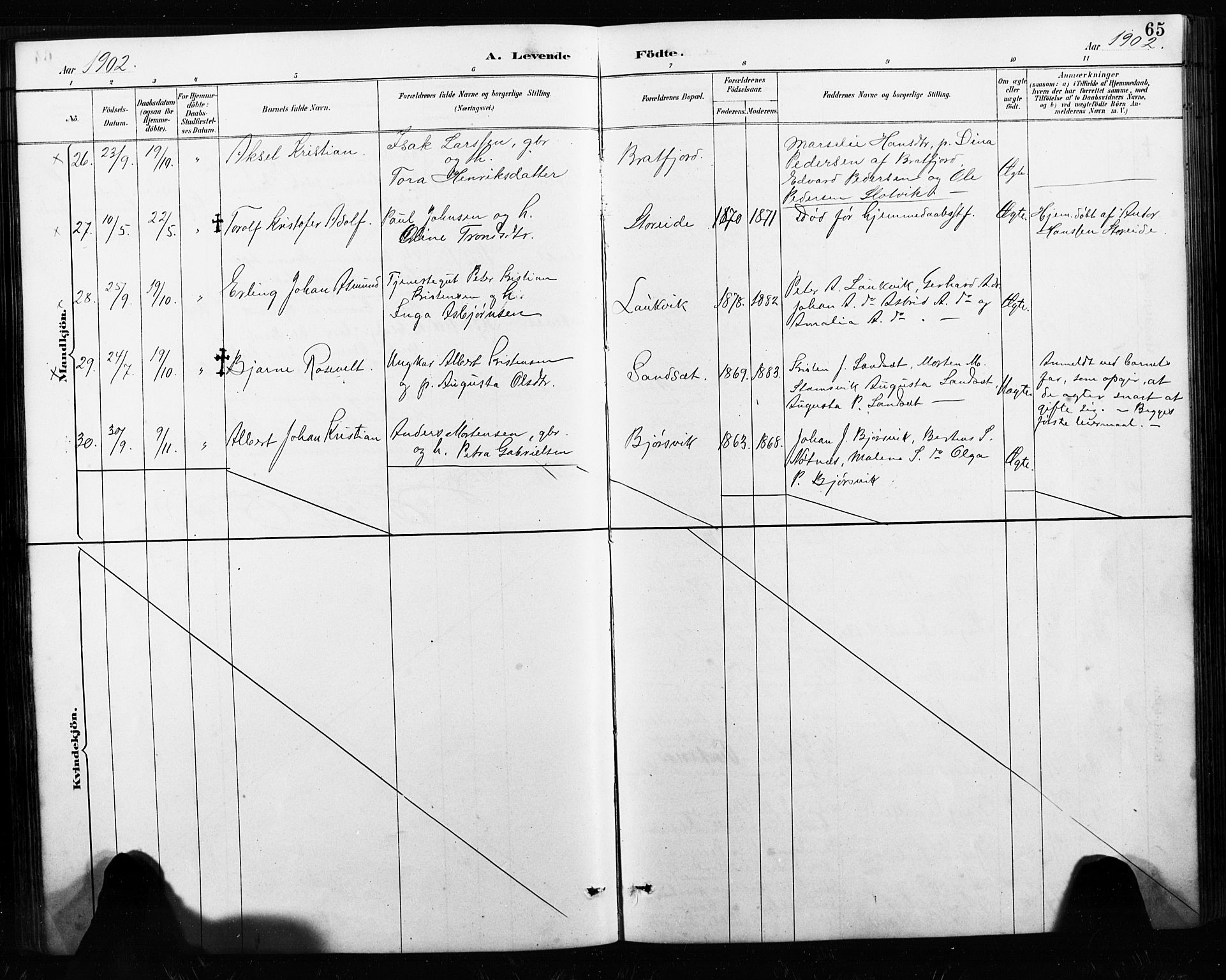 Ministerialprotokoller, klokkerbøker og fødselsregistre - Nordland, AV/SAT-A-1459/858/L0834: Parish register (copy) no. 858C01, 1884-1904, p. 65