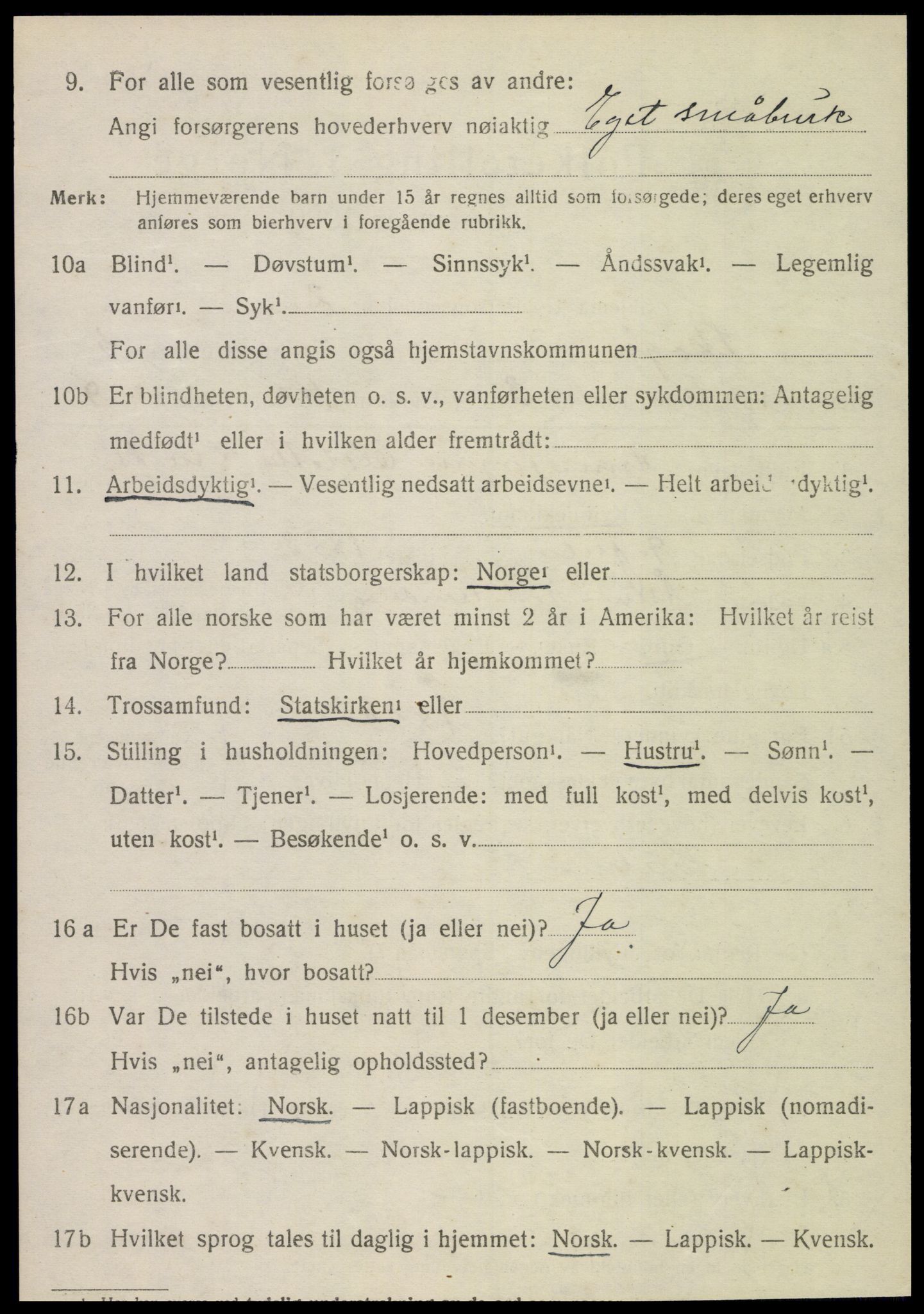 SAT, 1920 census for Skogn, 1920, p. 6504