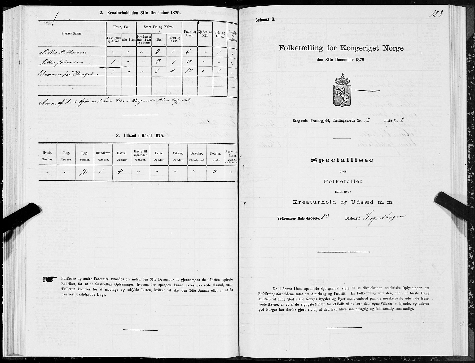 SAT, 1875 census for 1531P Borgund, 1875, p. 6123