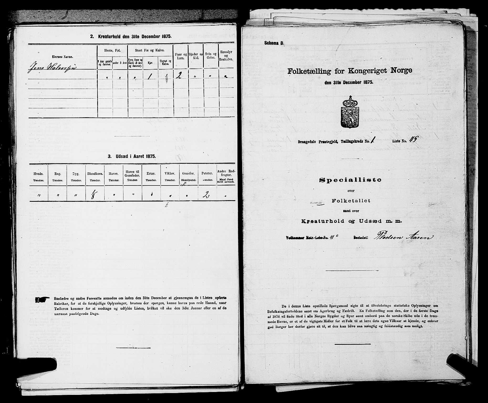 SAKO, 1875 census for 0817P Drangedal, 1875, p. 145