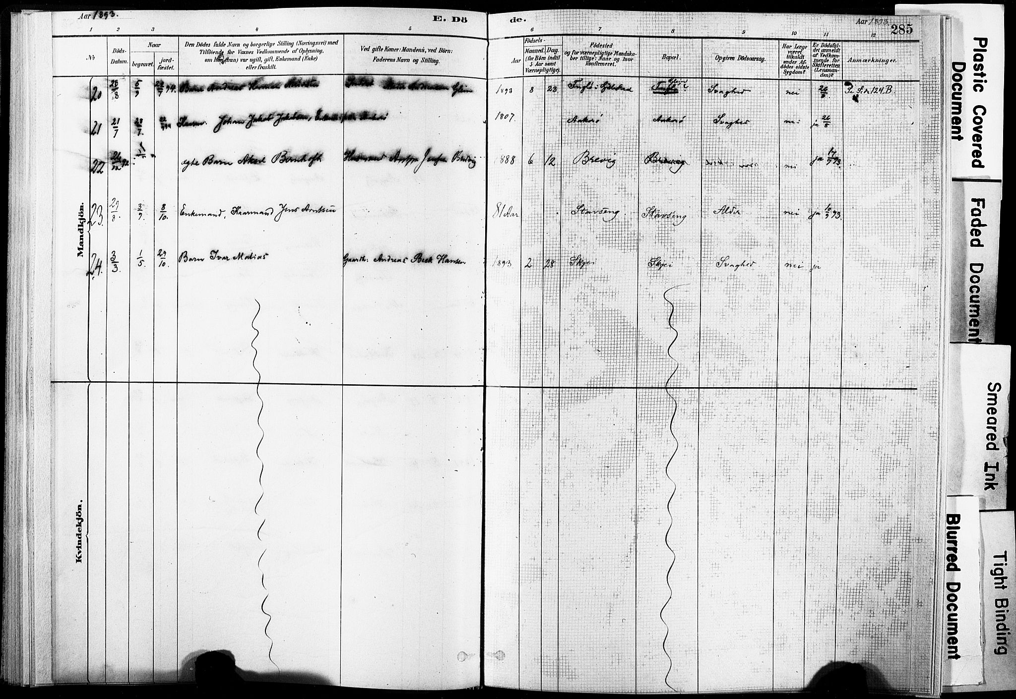 Ministerialprotokoller, klokkerbøker og fødselsregistre - Nordland, AV/SAT-A-1459/835/L0526: Parish register (official) no. 835A03II, 1881-1910, p. 285