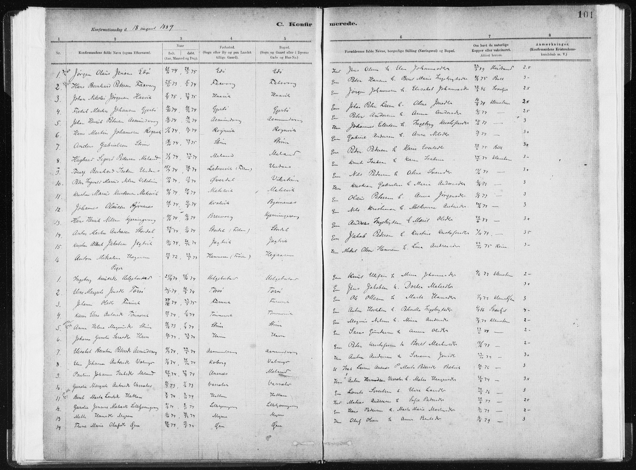 Ministerialprotokoller, klokkerbøker og fødselsregistre - Sør-Trøndelag, SAT/A-1456/634/L0533: Parish register (official) no. 634A09, 1882-1901, p. 101