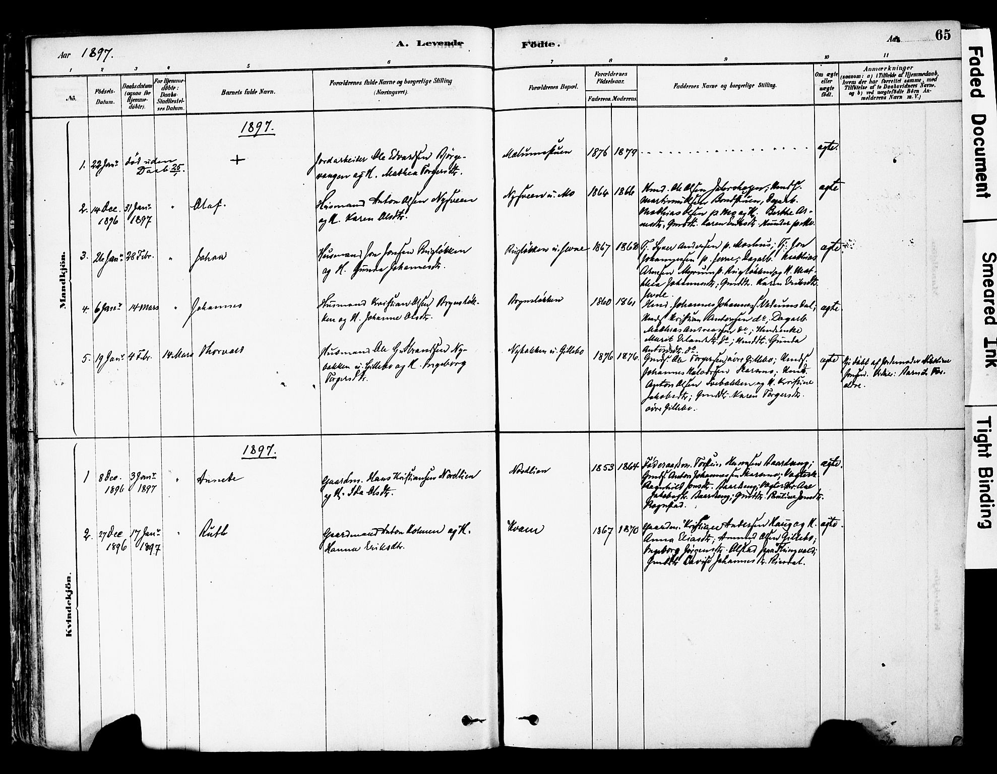 Øyer prestekontor, AV/SAH-PREST-084/H/Ha/Haa/L0008: Parish register (official) no. 8, 1878-1897, p. 65