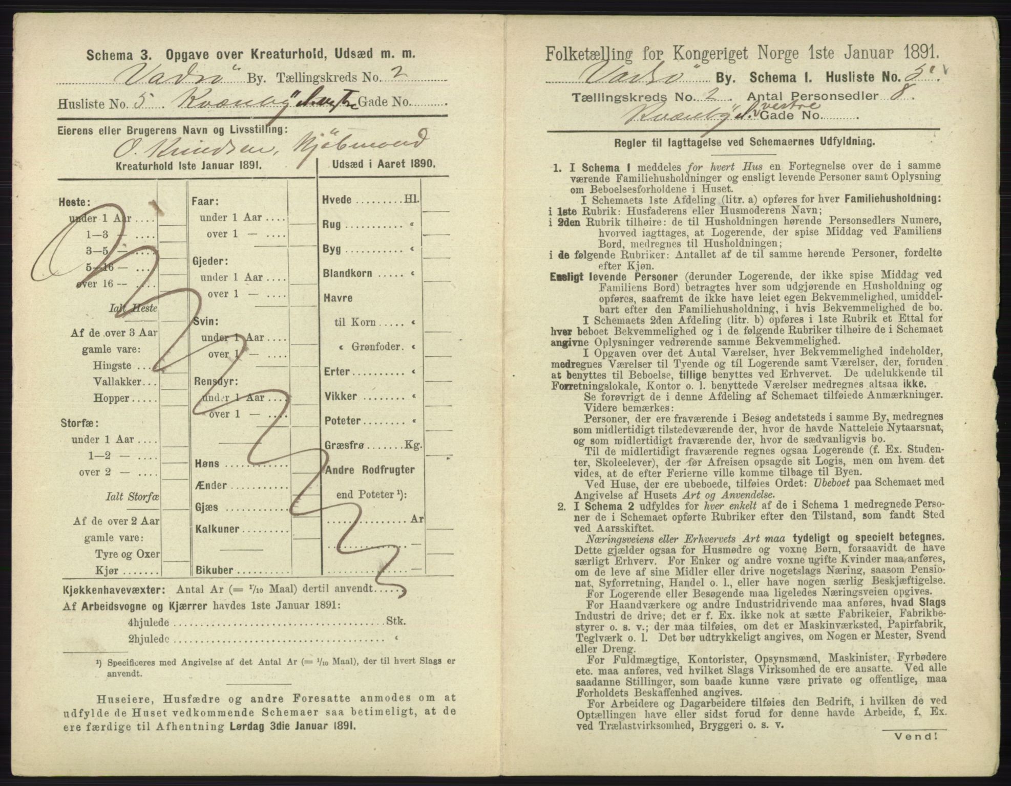 RA, 1891 census for 2003 Vadsø, 1891, p. 593