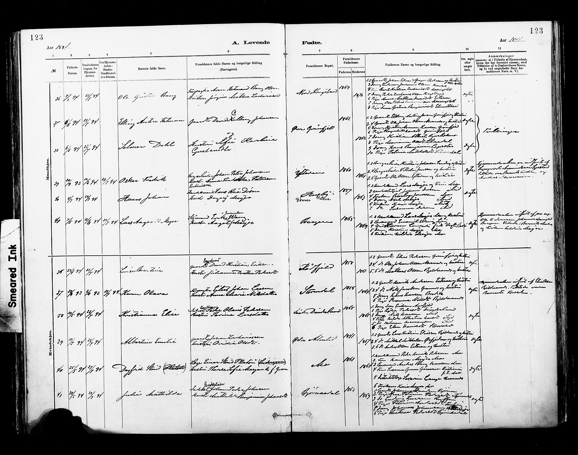 Ministerialprotokoller, klokkerbøker og fødselsregistre - Nordland, AV/SAT-A-1459/827/L0400: Parish register (official) no. 827A12, 1883-1903, p. 123