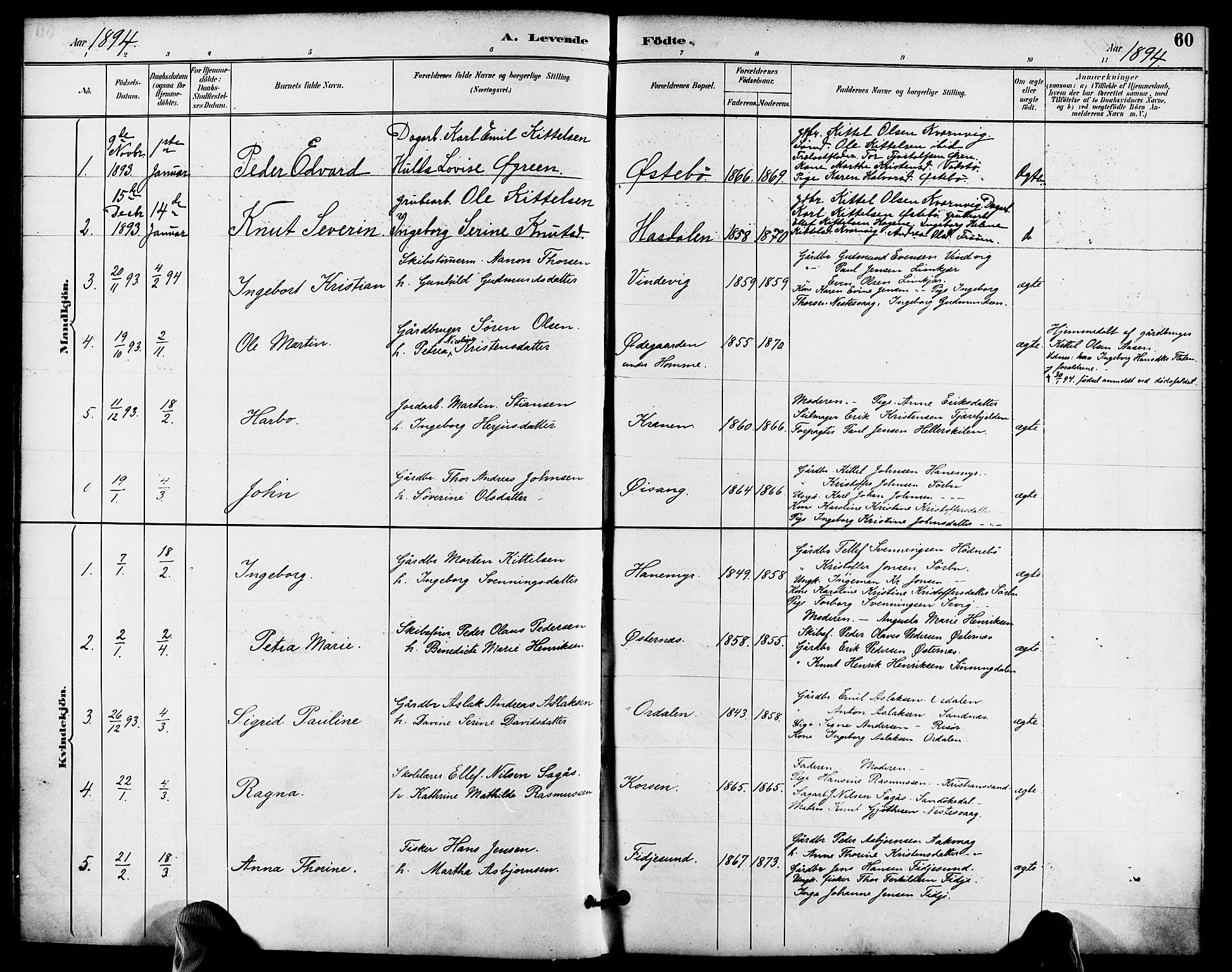 Søndeled sokneprestkontor, SAK/1111-0038/F/Fa/L0005: Parish register (official) no. A 5, 1889-1899, p. 60