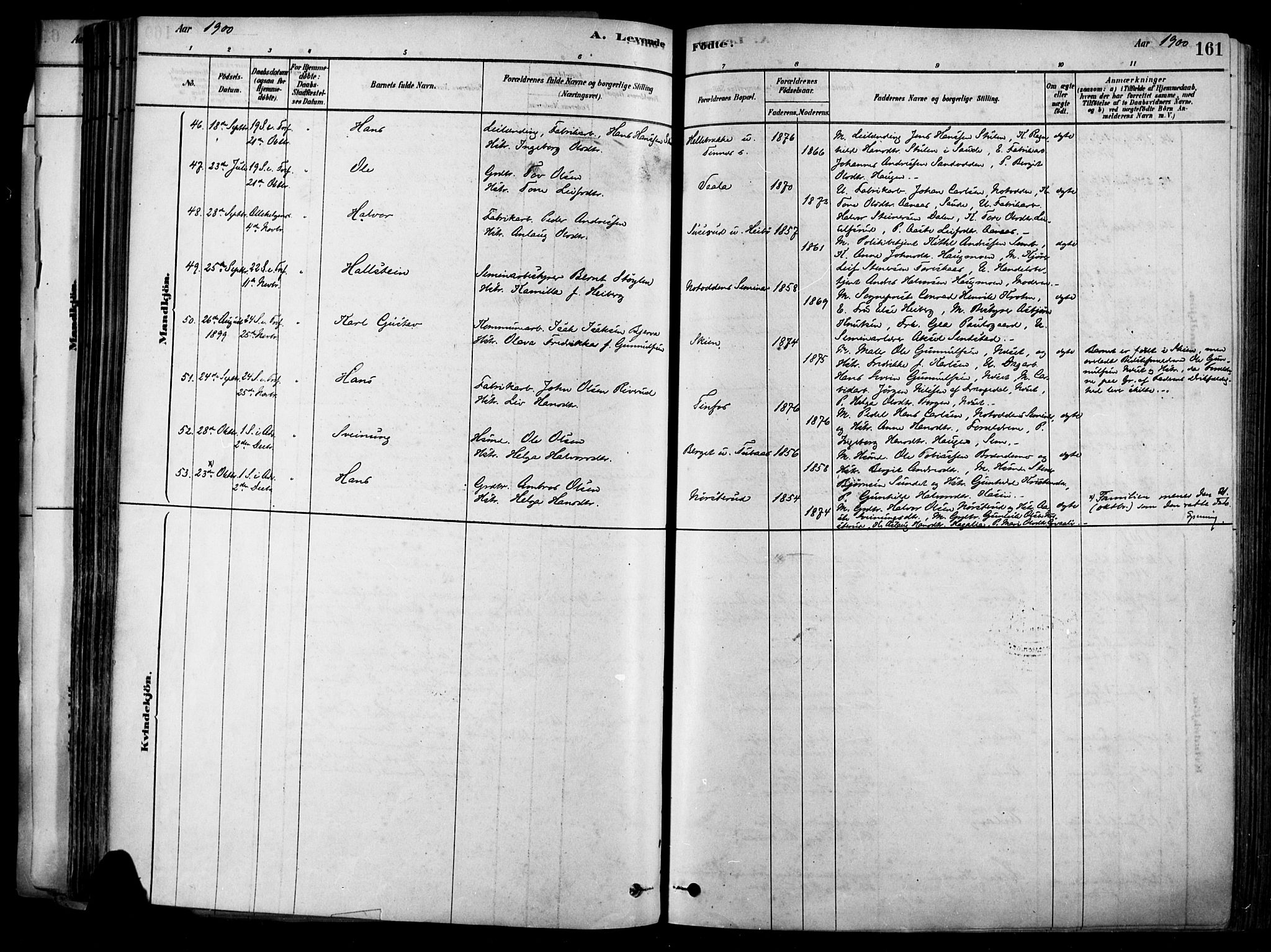 Heddal kirkebøker, SAKO/A-268/F/Fa/L0008: Parish register (official) no. I 8, 1878-1903, p. 161
