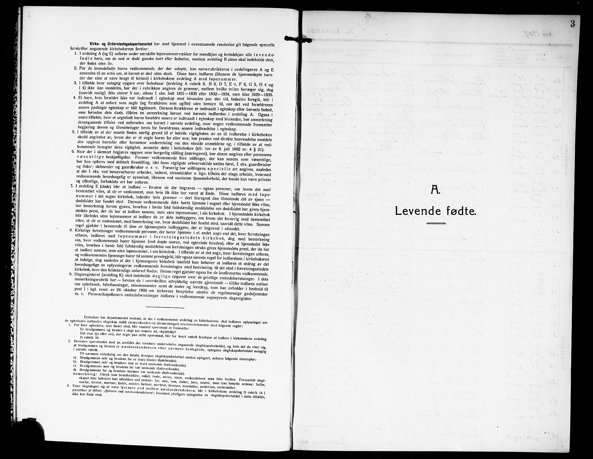 Idd prestekontor Kirkebøker, SAO/A-10911/G/Gb/L0002: Parish register (copy) no. II 2, 1907-1913, p. 3