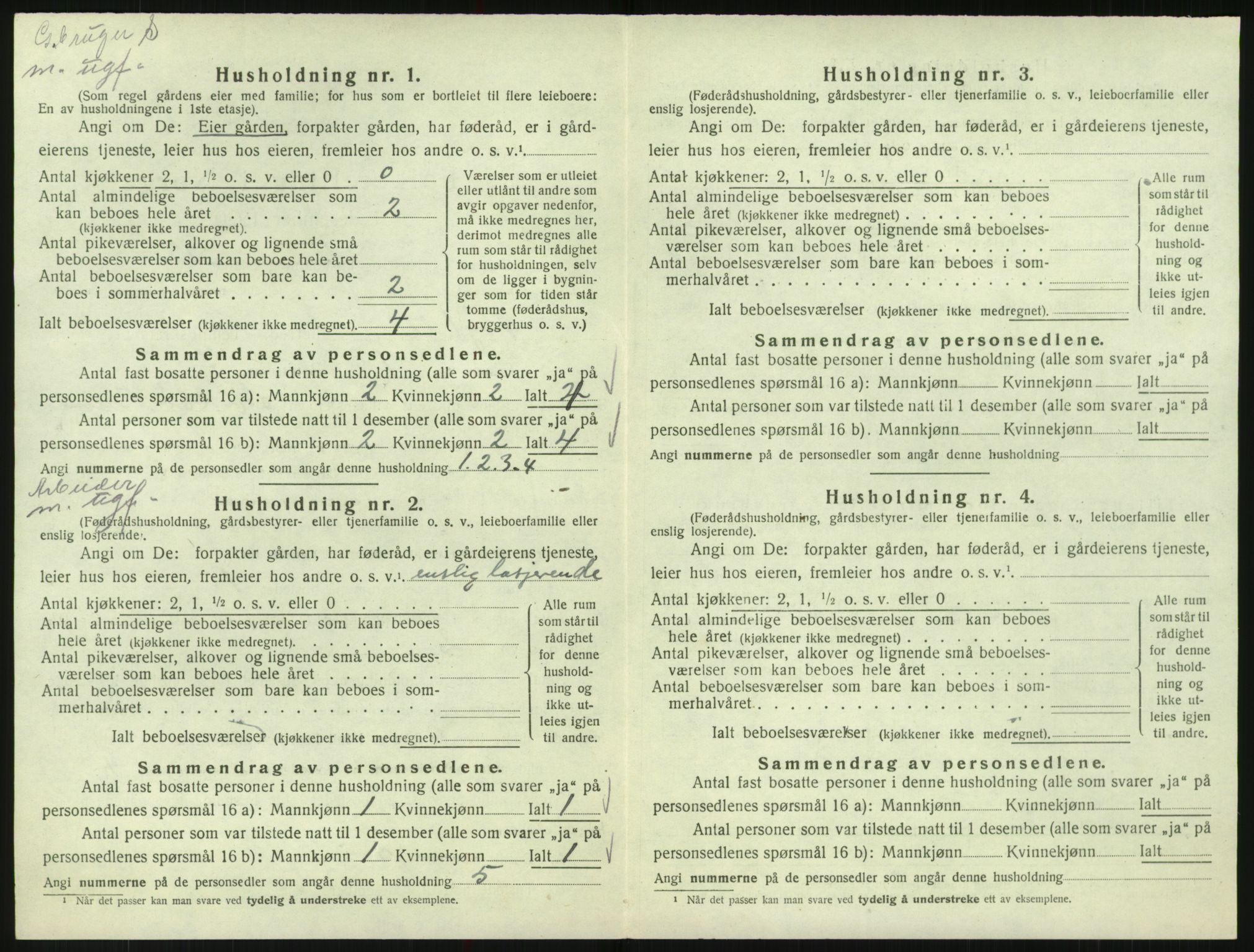 SAK, 1920 census for Bykle, 1920, p. 206