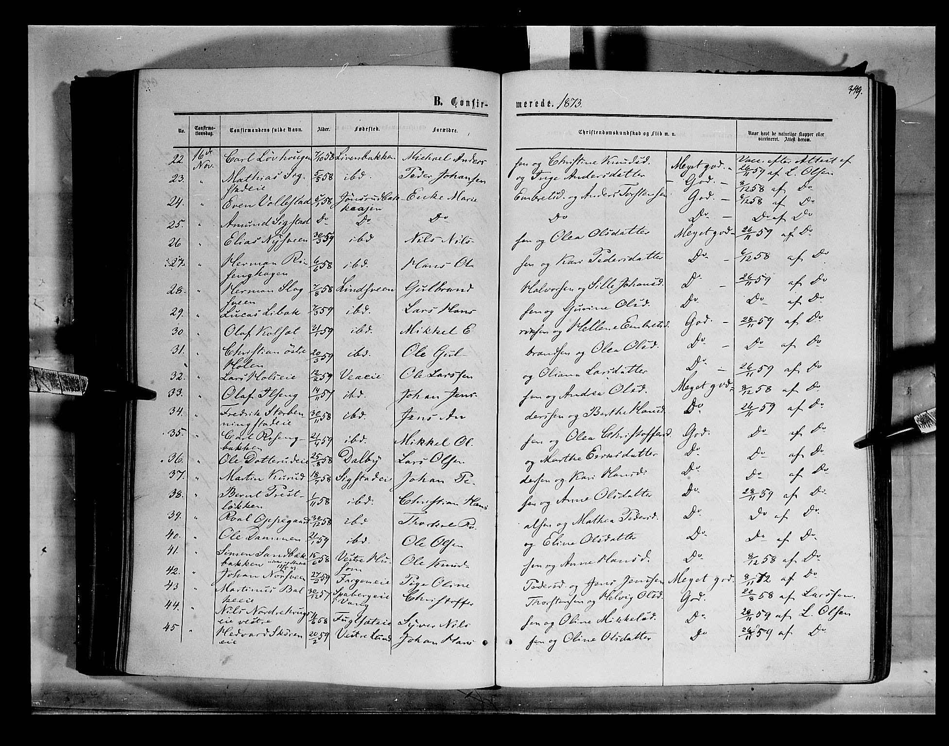 Løten prestekontor, AV/SAH-PREST-022/K/Ka/L0008: Parish register (official) no. 8, 1860-1877, p. 349