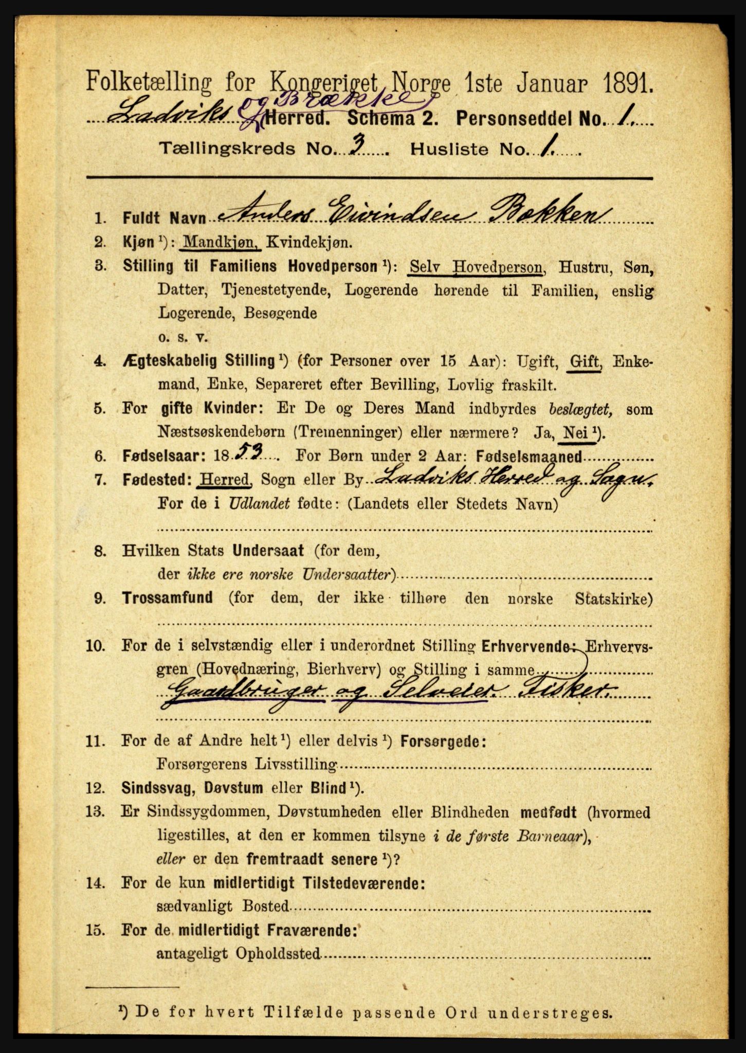 RA, 1891 census for 1415 Lavik og Brekke, 1891, p. 497