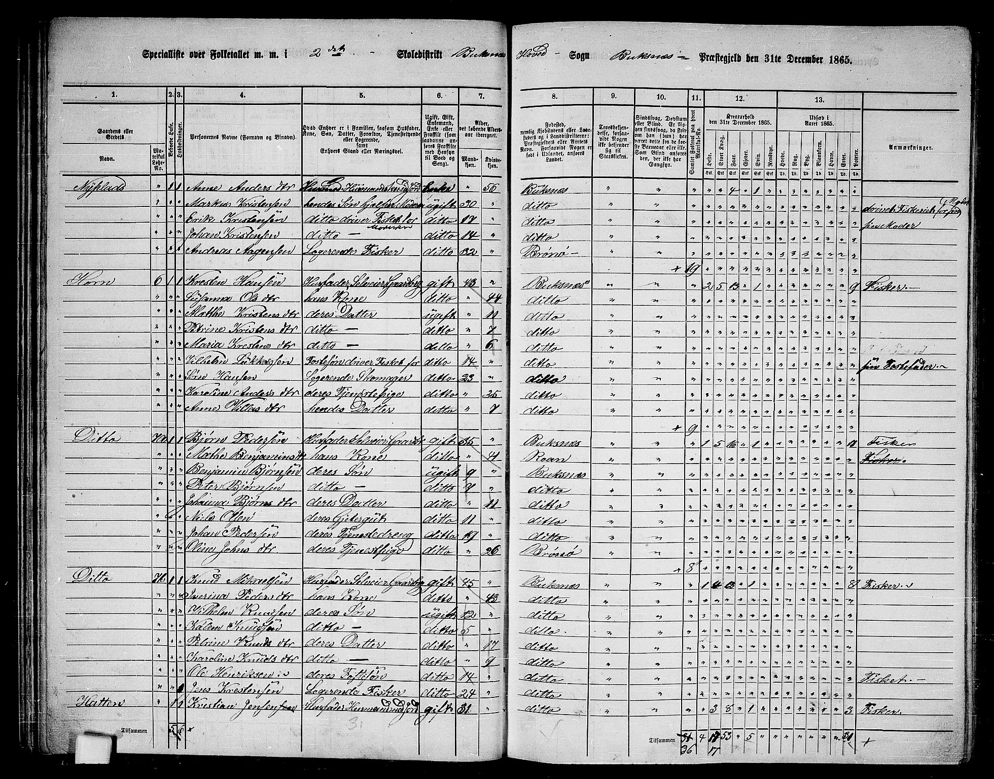 RA, 1865 census for Buksnes, 1865, p. 33